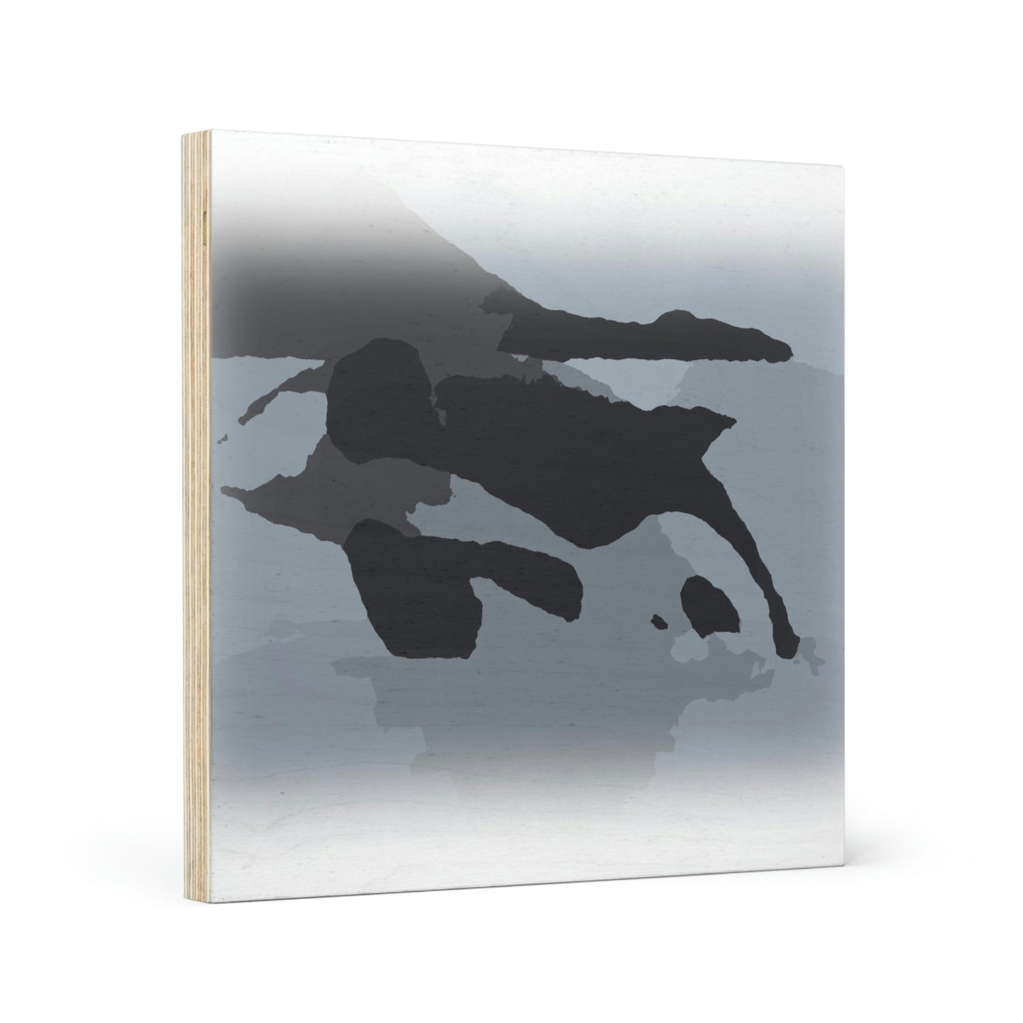 Wood Canvas ...  'Right Next To Us ... Whale Watch Salish Sea' ... Summer 2012 ... Friday Harbor, San Juan Island, WA ...