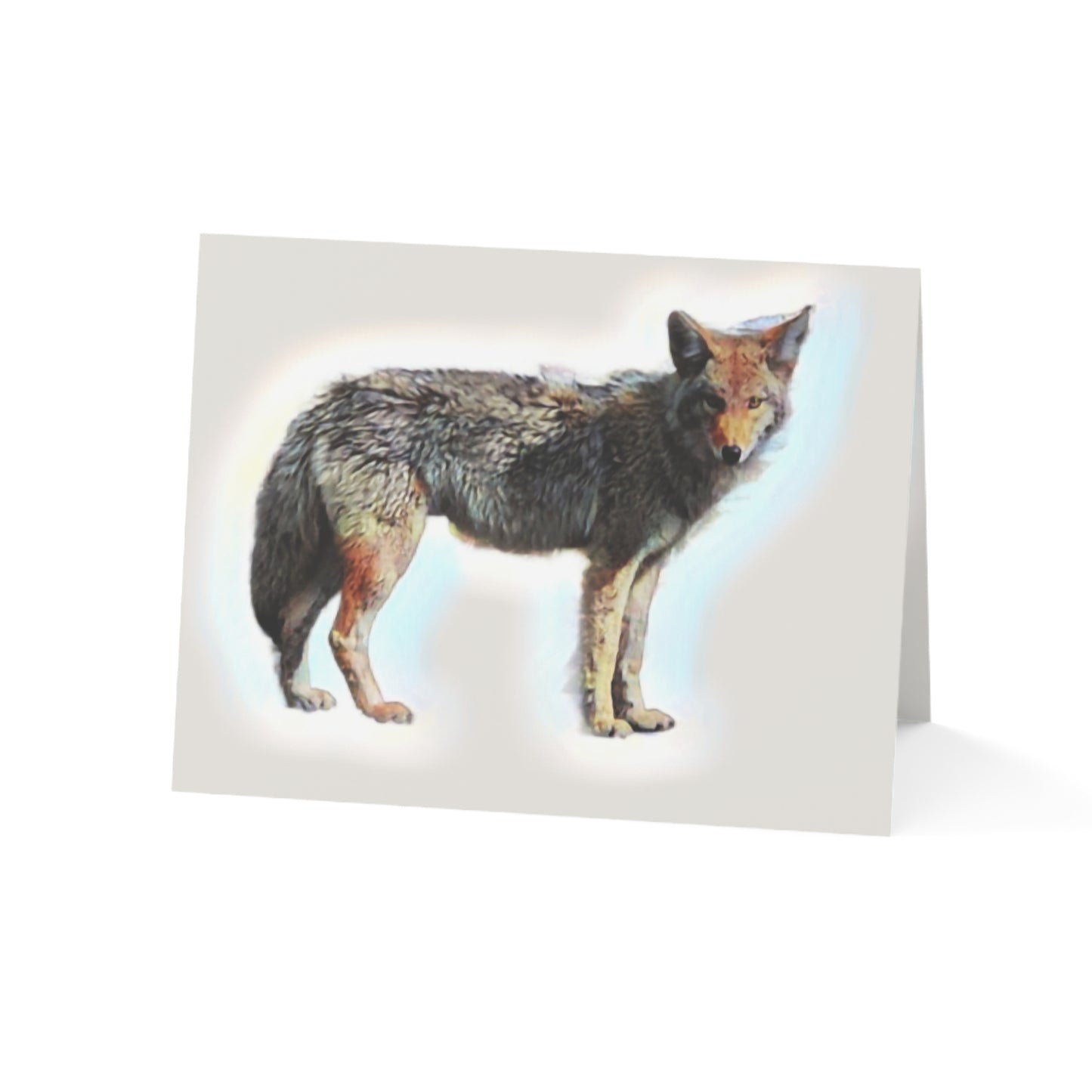 Greeting Cards (1, 10, 30, and 50pcs) ... Coyote ... "Yosemite Valley: Circa May23 ... KPH Base Photo" ... Original Works ...