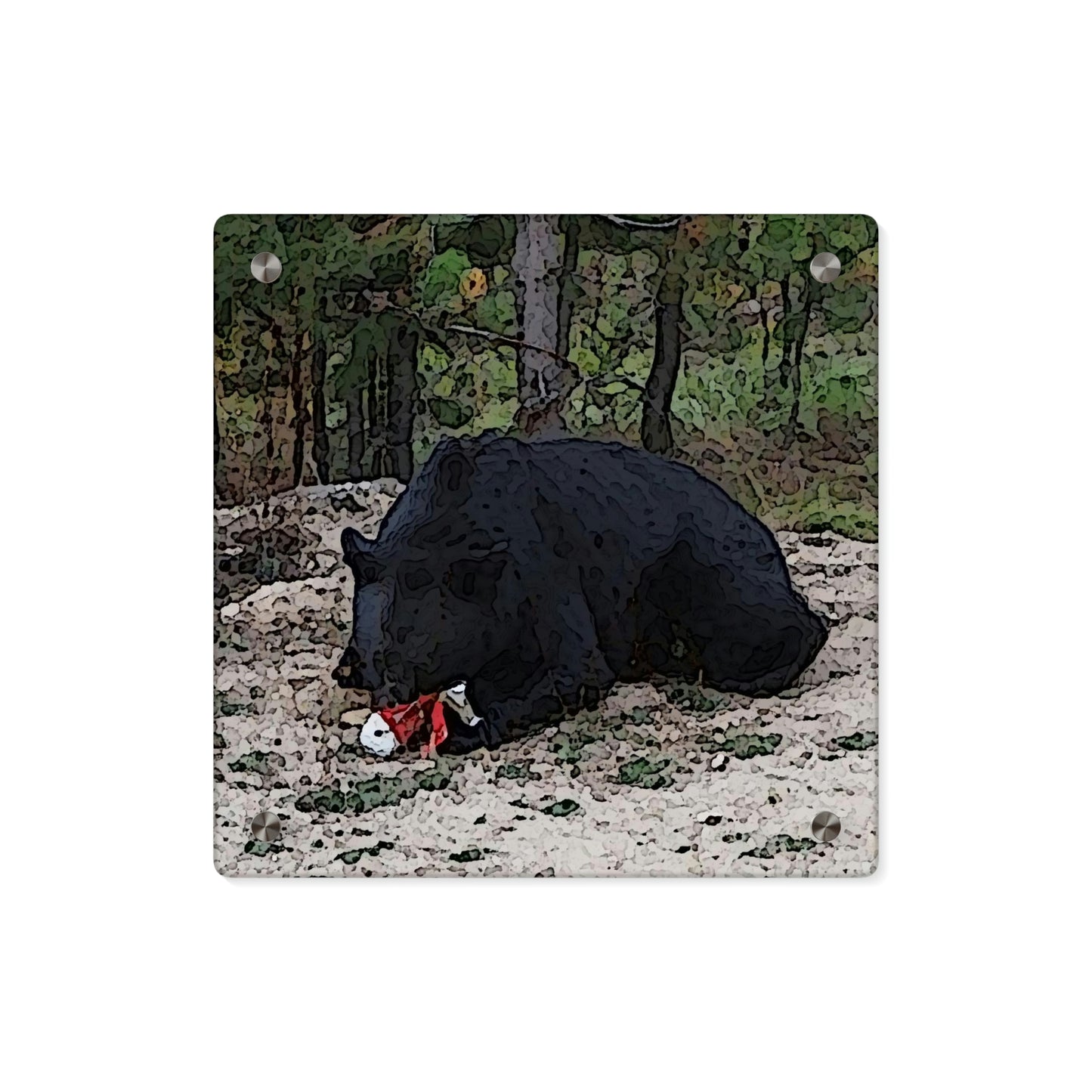Acrylic Wall Art Panels ... RCY: "Rhett Creek Yogi ... '500 Lbs Of Autumn Season Hunger' ..."  ... September 2022 ... Central Idaho ... Original Works ...