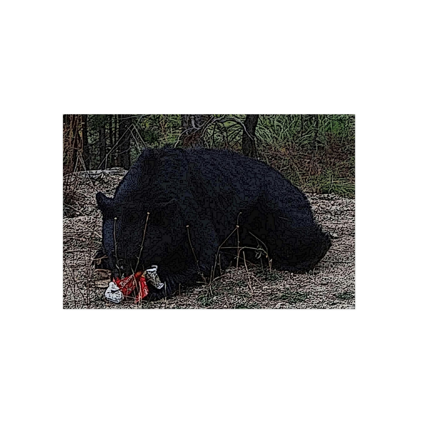 Aluminum Composite Panels ... A Local 'Yogi_3' ... RCY: "Rhett Creek Yogi: 500#'s Of Hungry Black Bear" ... 28-29Sep23 ... Original Works ... Client Project-Folio ...