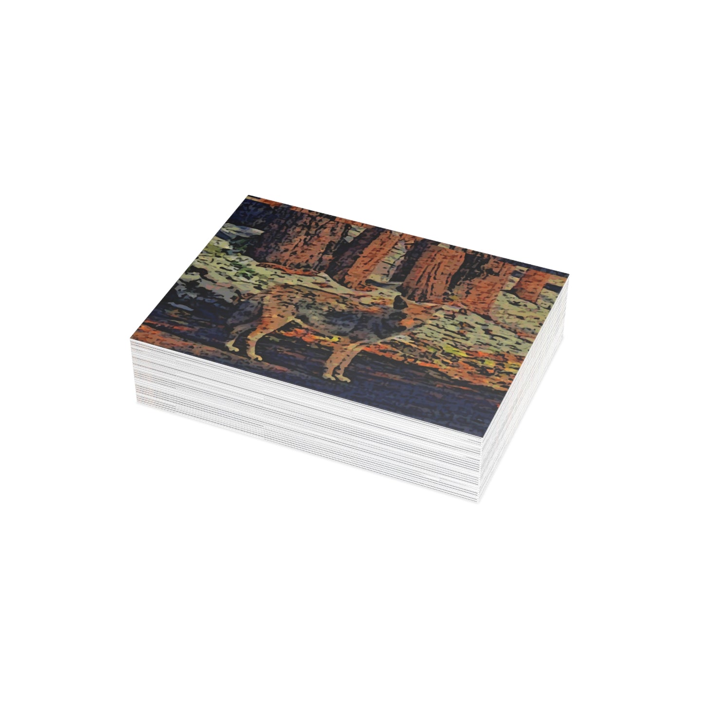 Greeting Cards (1, 10, 30, and 50pcs) ... Coyote ... "Yosemite Valley: Circa May23 ... KPH Base Photo" ... Original Works ...