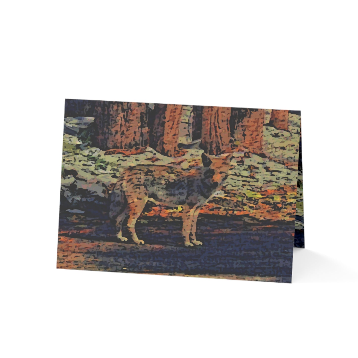 Greeting Cards (1, 10, 30, and 50pcs) ... Coyote ... "Yosemite Valley: Circa May23 ... KPH Base Photo" ... Original Works ...
