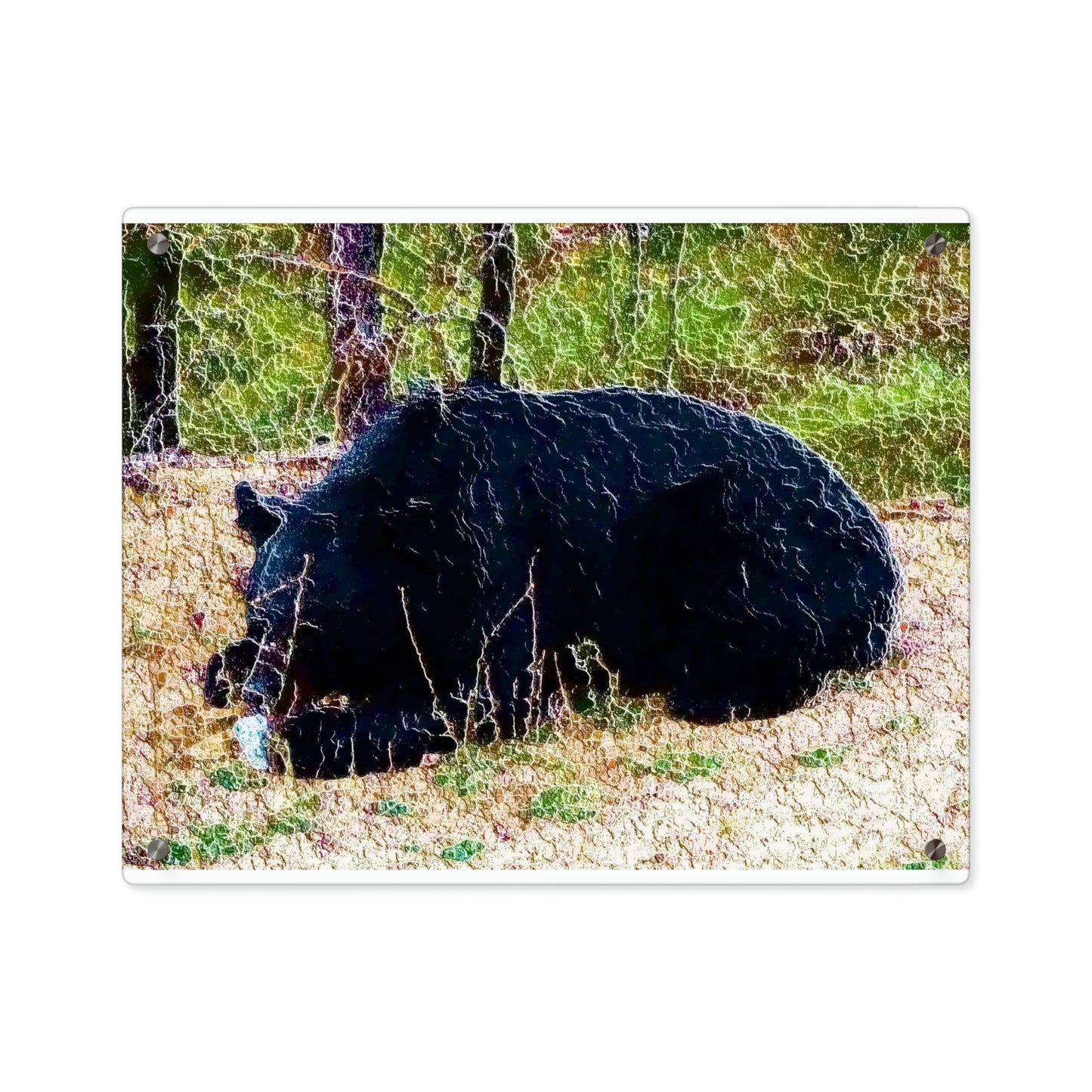 Acrylic Wall Art Panels ... RCY: "Rhett Creek Yogi ... '500 Lbs Of Autumn Season Hunger' ..."  ... September 2022 ... Central Idaho ... Original Works ...