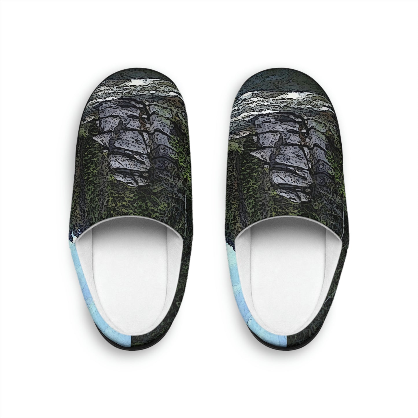 Men's Indoor Slippers ..."I Am Innocent" ... Tricky-Dick Immortalized ... Nixon Rock: Along The River ... Central Idaho, Summer 2020 ... Original Works ...
