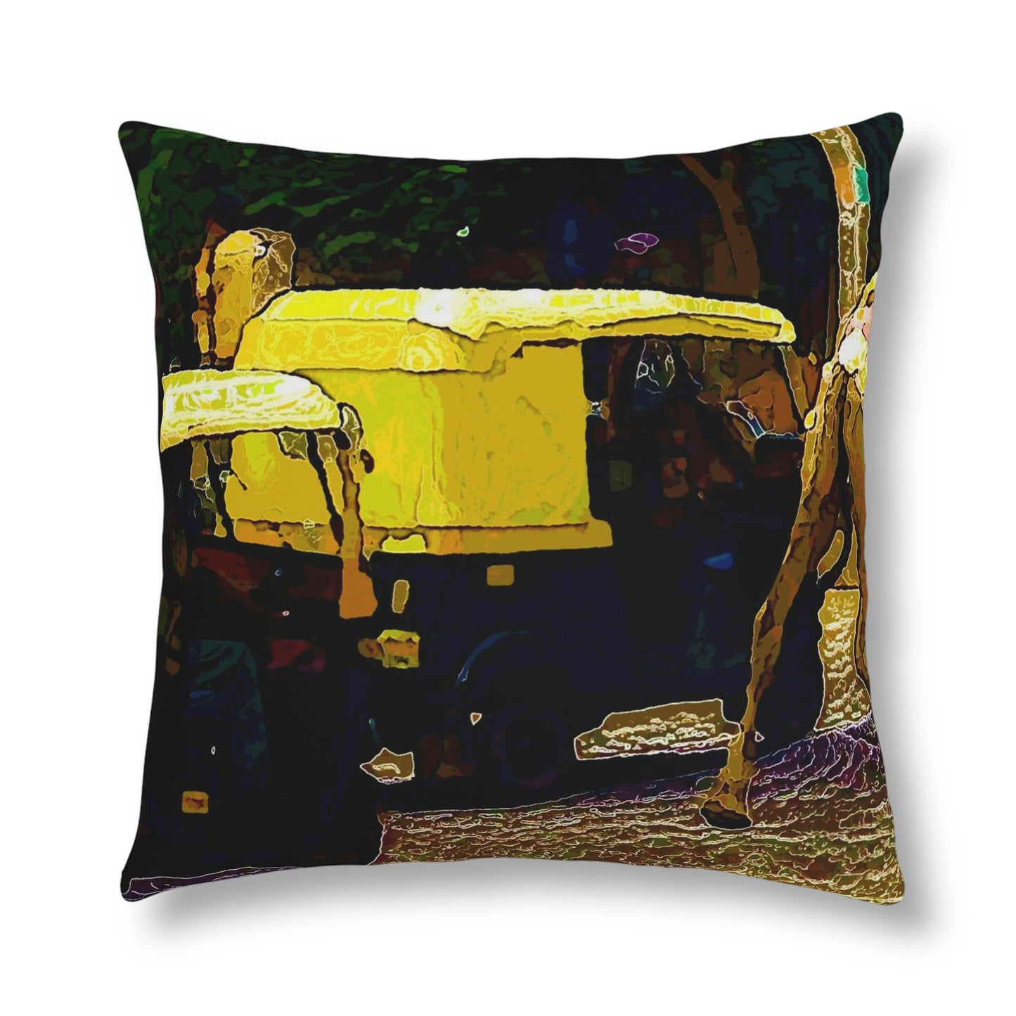 Waterproof Pillows ... "Truckin'-Up-To-Buffalo ... 'Oops - Wrong Country' ... Truckin'-Up-To-New Delll -'E' ... " ... (Delhi, India) ... 5July2007. Original Works ...
