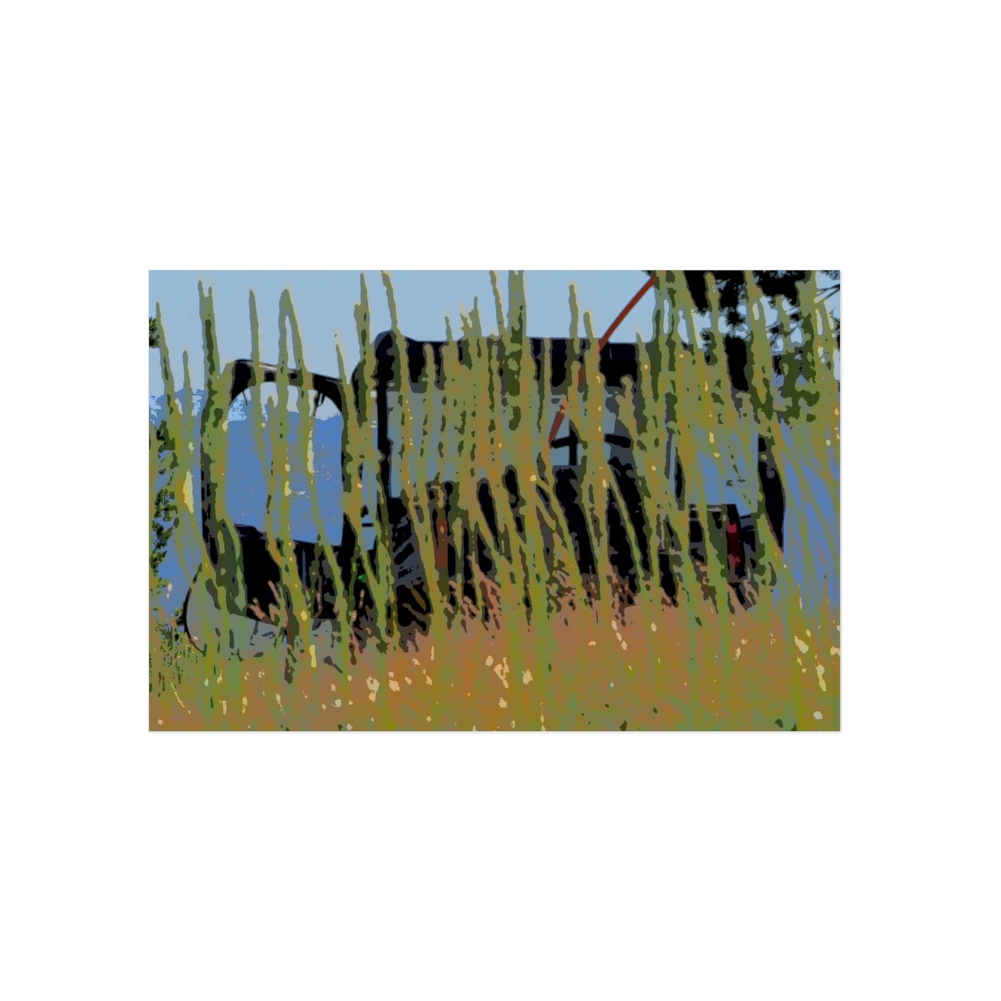 Aluminum Composite Panels ... The Beargrass (Xerophyllum Spp.) Of Green Mountain Fire Lookout ... "Magruder Corridor" ... August 2022 ... Original Works ...