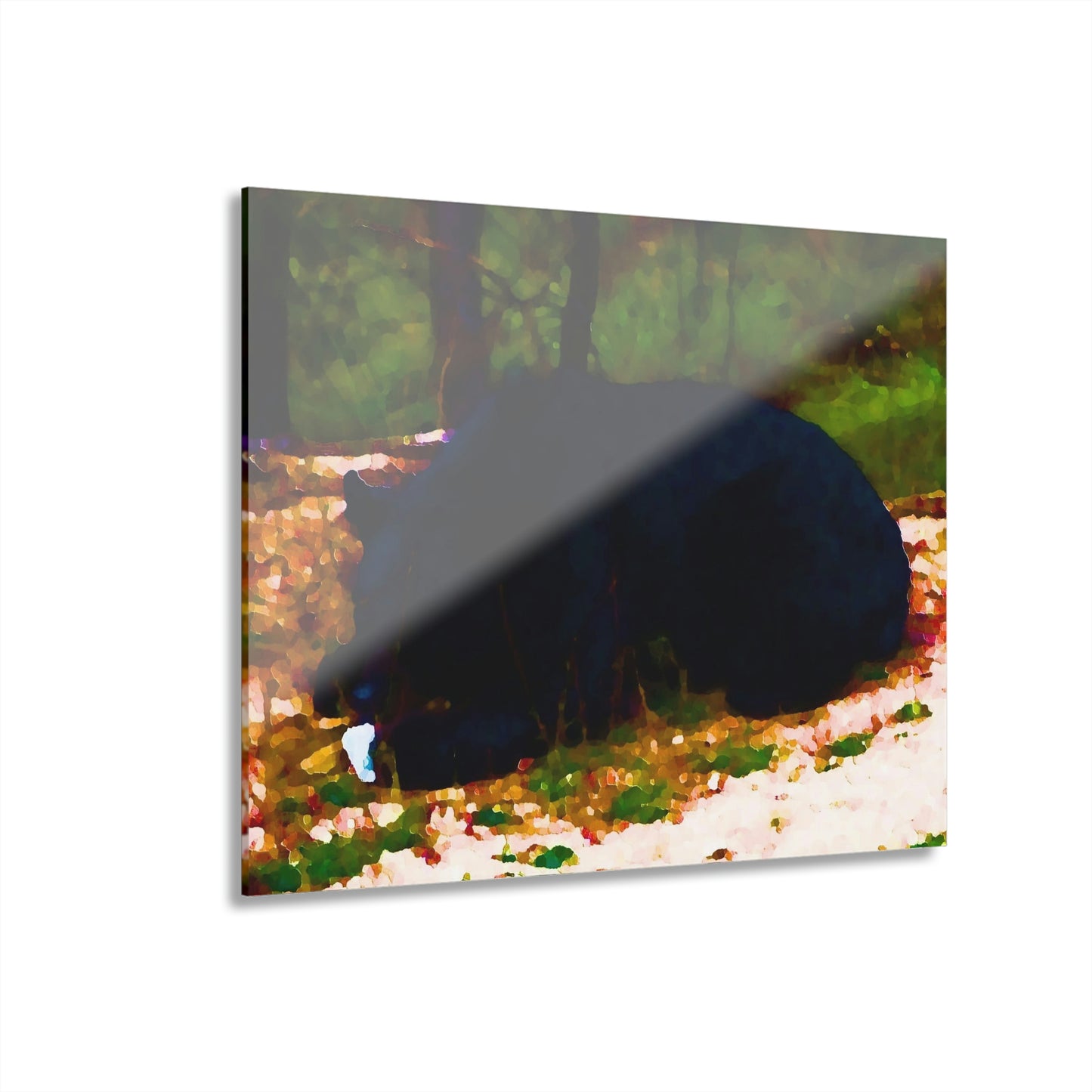 Acrylic Prints (French Cleat Hanging) ... RCY: "Rhett Creek Yogi ... '500 Lbs Of Autumn Season Hunger' ..."  ... September 2022 ... Central Idaho ... Original Works ...