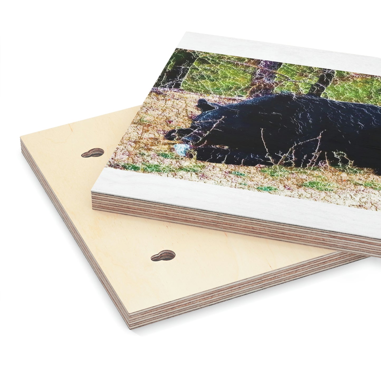 Wood Canvas ... RCY: "Rhett Creek Yogi ... '500 Lbs Of Autumn Season Hunger' ..."  ... September 2022 ... Central Idaho ... Original Works ...