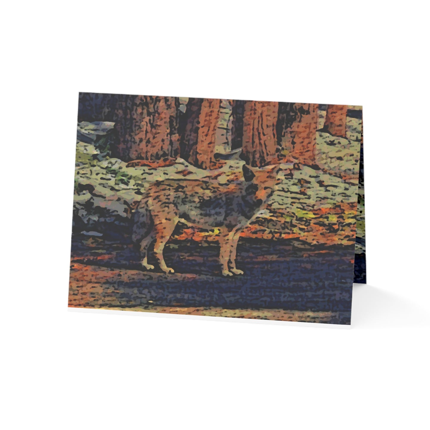 Greeting Cards (1, 10, 30, and 50pcs) ... Coyote ... "Yosemite Valley: Circa May23 ... KPH Base Photo" ... Original Works ...