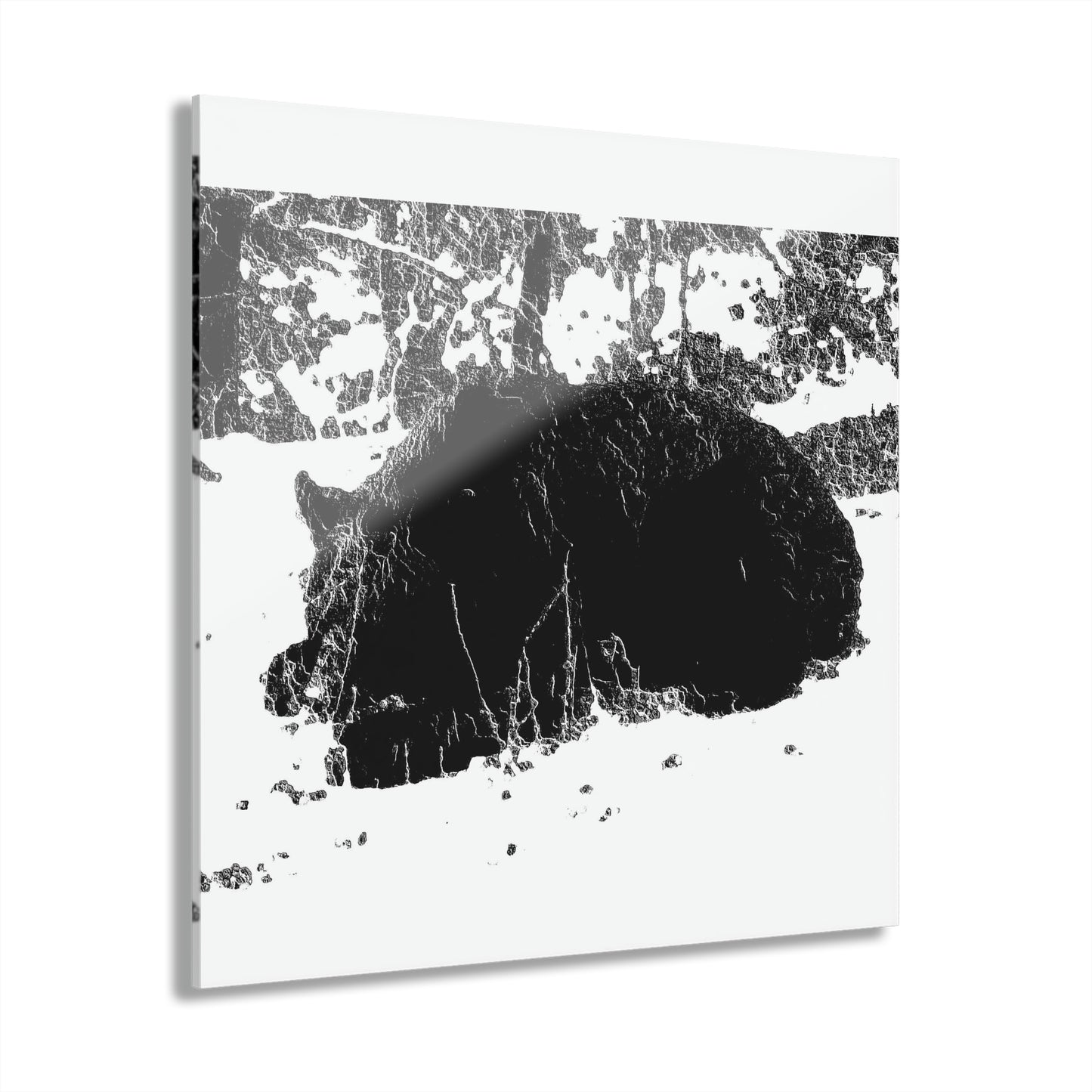 Acrylic Prints (French Cleat Hanging) ... RCY: "Rhett Creek Yogi ... '500 Lbs Of Autumn Season Hunger' ..."  ... September 2022 ... Central Idaho ... Original Works ...