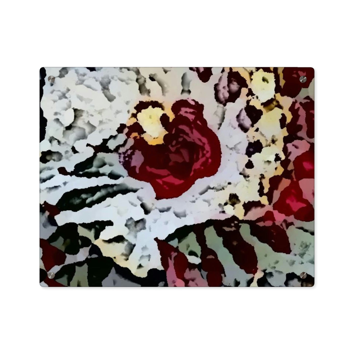 Acrylic Wall Art Panels ... "A Friendly Flower" ... Pointsettia 'Pointing' ... Original Works ... (Supplied Photograph) ...