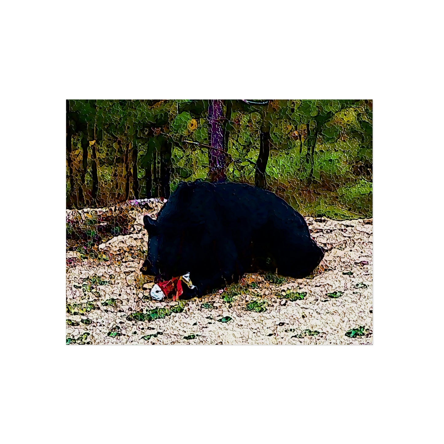 Aluminum Composite Panels ... A Local 'Yogi_2' ... RCY: "Rhett Creek Yogi: 500#'s Of Hungry Black Bear" ... 28-29Sep23 ... Original Works ... Client Project-Folio ...