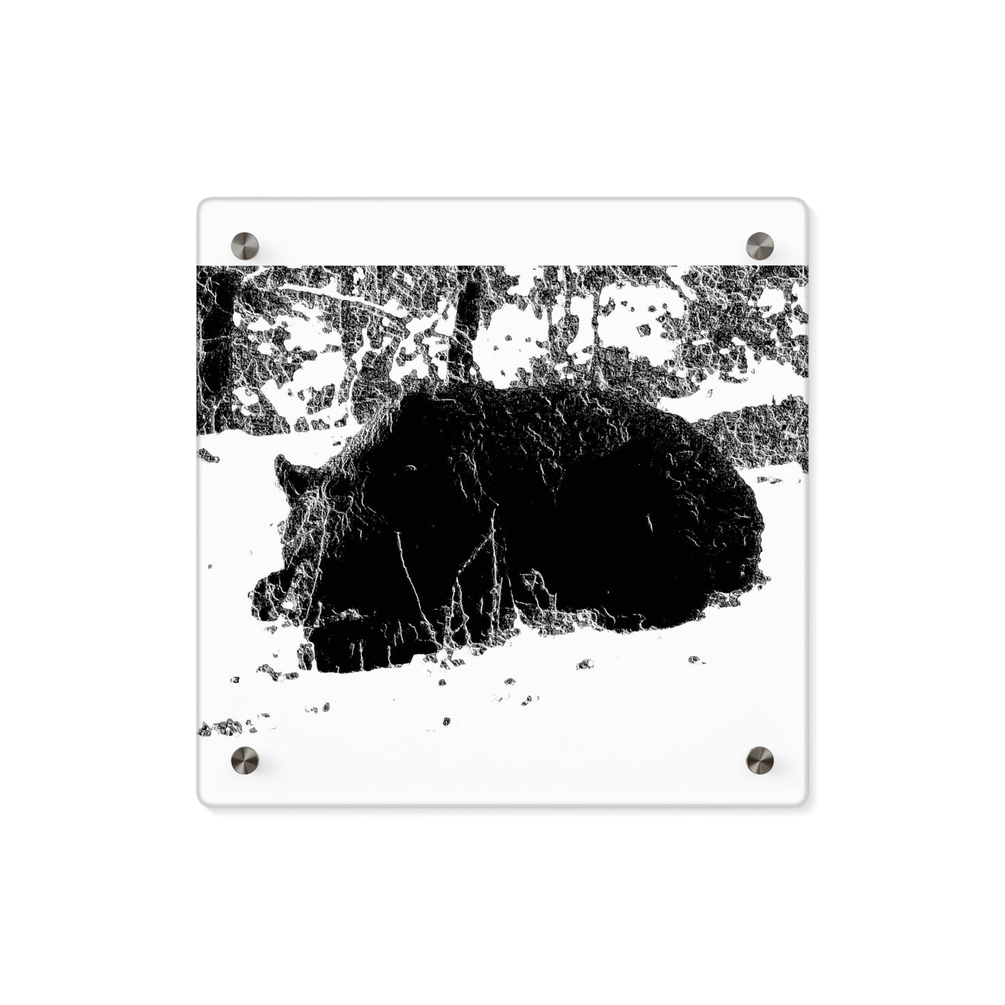Acrylic Wall Art Panels ... RCY: "Rhett Creek Yogi ... '500 Lbs Of Autumn Season Hunger' ..."  ... September 2022 ... Central Idaho ... Original Works ...