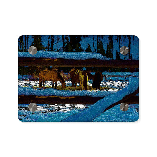 Acrylic Wall Art Panels ... A Horse ... A Saddle ...  Foraging Through The Snow ...  An_Asses 'Cry' ... Central Idaho, November 2022 ...  Original Works ...
