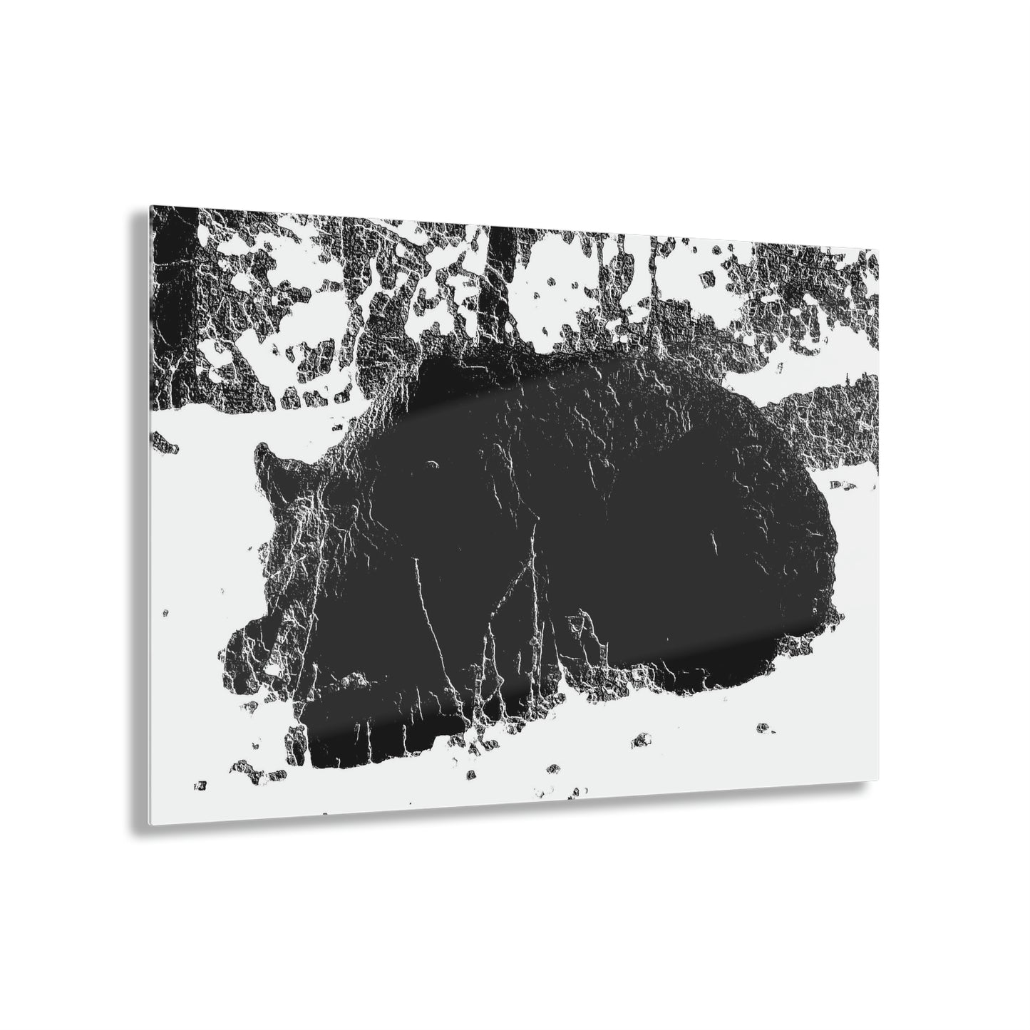 Acrylic Prints ... RCY: "Rhett Creek Yogi ... '500 Lbs Of Autumn Season Hunger' ..."  ... September 2022 ... Central Idaho ... Original Works ...