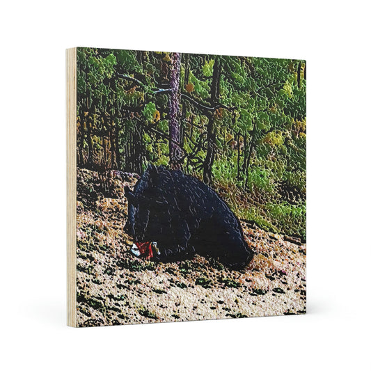 Wood Canvas ... RCY: "Rhett Creek Yogi ... '500 Lbs Of Autumn Season Hunger' ..."  ... September 2022 ... Central Idaho ... Original Works ...