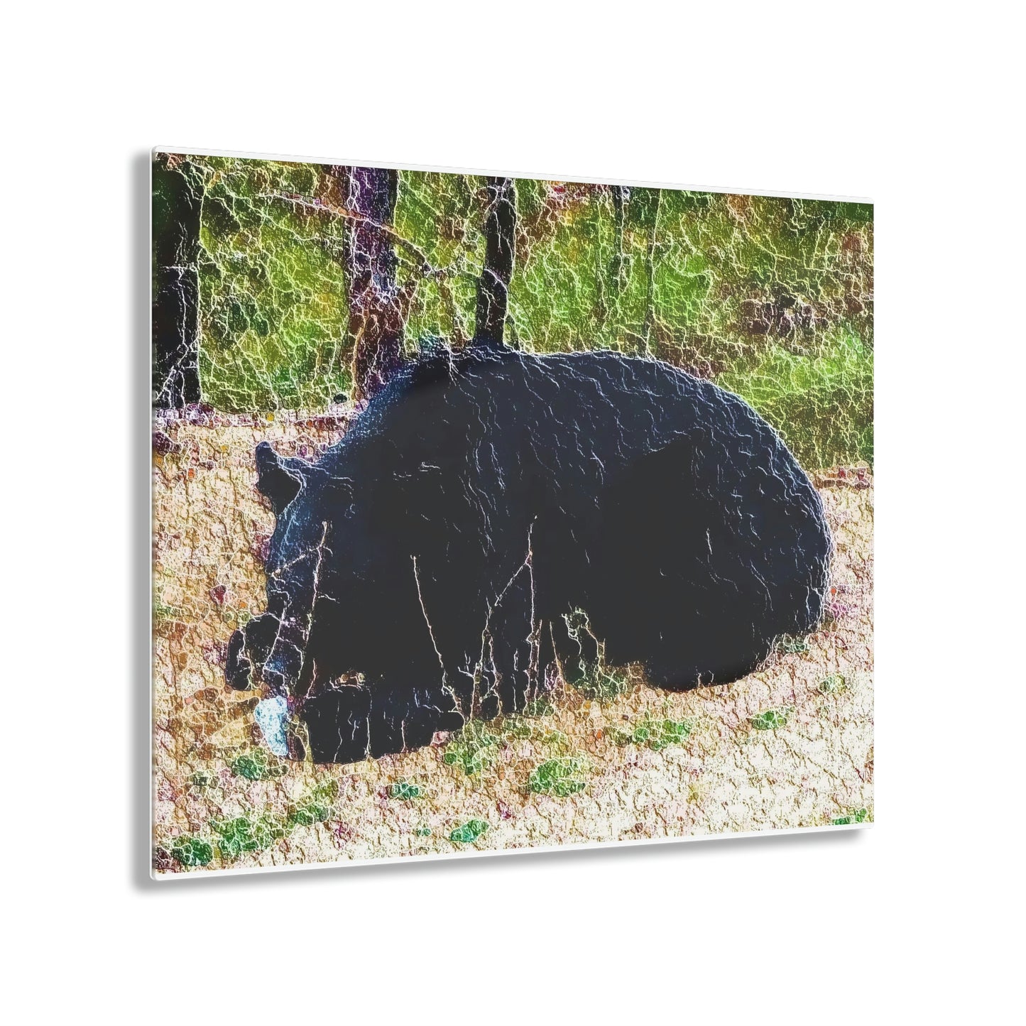 Acrylic Prints ... RCY: "Rhett Creek Yogi ... '500 Lbs Of Autumn Season Hunger' ..."  ... September 2022 ... Central Idaho ... Original Works ...