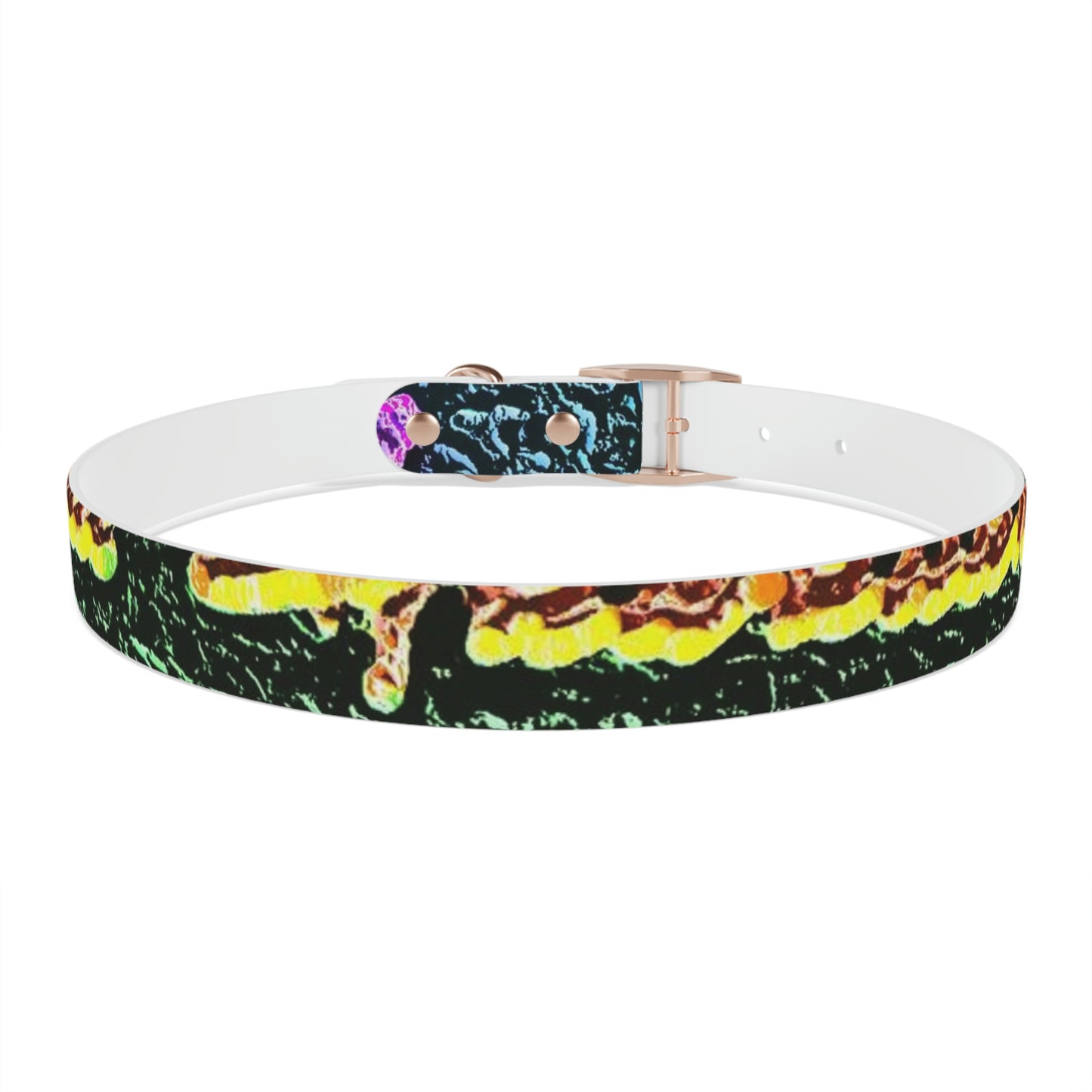 Dog Collar ... "La Grande Entree" At: 'The Pink Palace' ... The Royal Hawai'ian ... Honolulu, HI ... '27Oct2014' ... Original Works ...