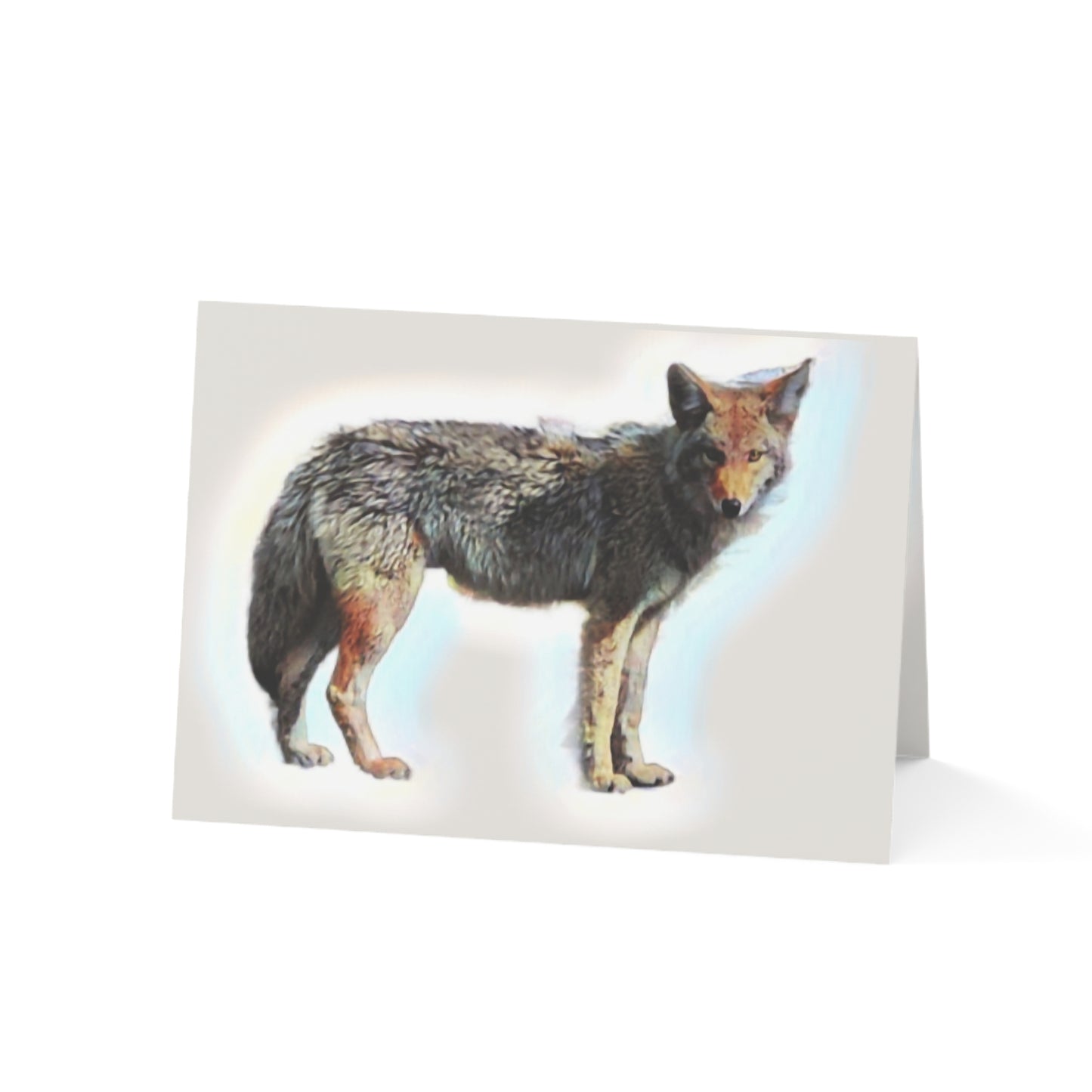 Greeting Cards (1, 10, 30, and 50pcs) ... Coyote ... "Yosemite Valley: Circa May23 ... KPH Base Photo" ... Original Works ...