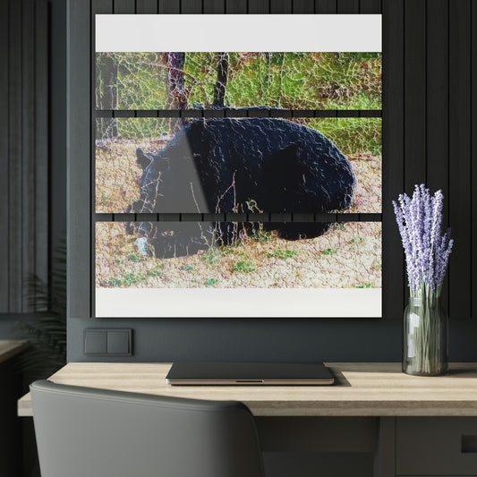 Acrylic Prints (Triptych) ... RCY: "Rhett Creek Yogi ... '500 Lbs Of Autumn Season Hunger' ..."  ... September 2022 ... Central Idaho ... Original Works ...