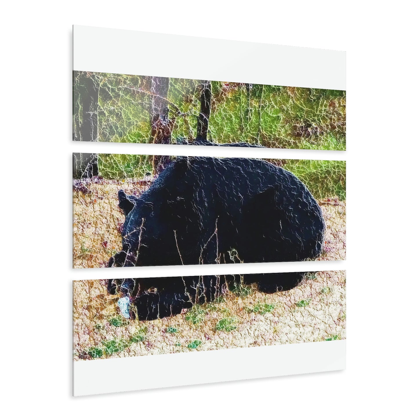 Acrylic Prints (Triptych) ... RCY: "Rhett Creek Yogi ... '500 Lbs Of Autumn Season Hunger' ..."  ... September 2022 ... Central Idaho ... Original Works ...