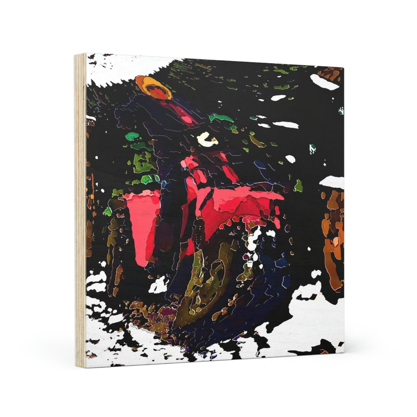 Wood Canvas ... Snow ... Fractals ... Three-Wheeler-Speed ... & "Fun" ...