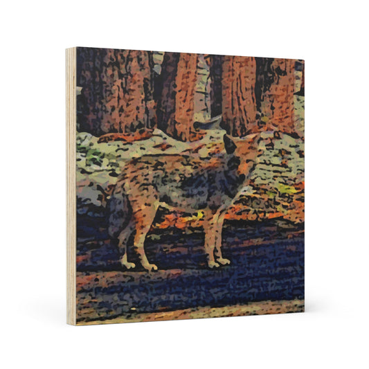 Wood Canvas ... Coyote ... "Yosemite Valley: Circa May23 ... KPH Base Photo" ... Original Works ...