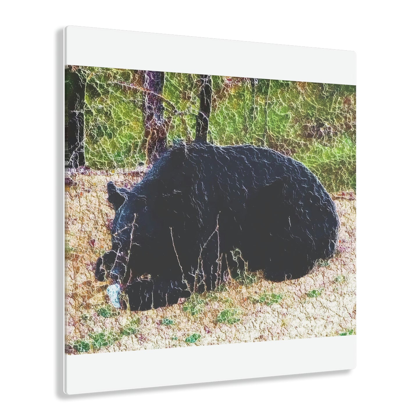 Acrylic Prints ... RCY: "Rhett Creek Yogi ... '500 Lbs Of Autumn Season Hunger' ..."  ... September 2022 ... Central Idaho ... Original Works ...
