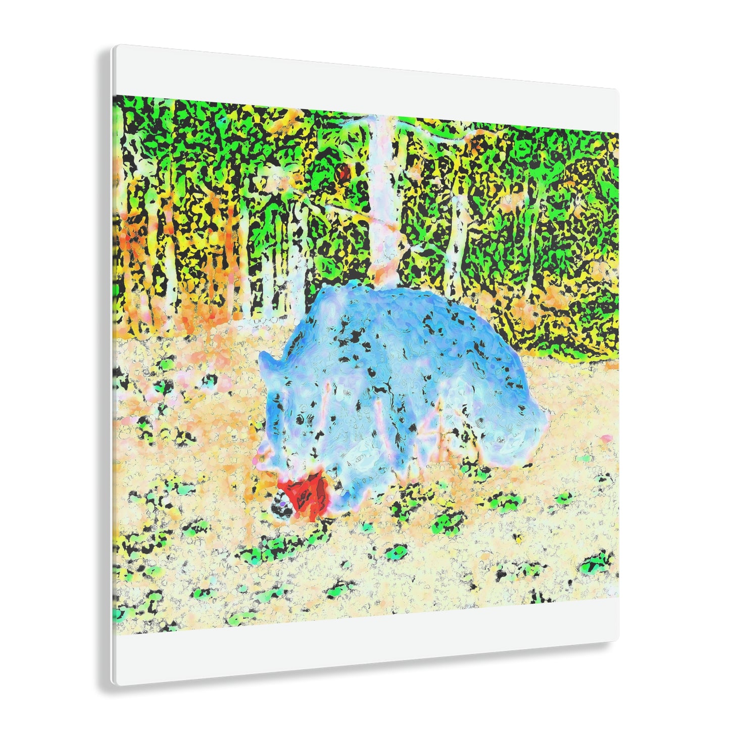 Acrylic Prints ... RCY: "Rhett Creek Yogi ... '500 Lbs Of Autumn Season Hunger' ..."  ... September 2022 ... Central Idaho ... Original Works ...