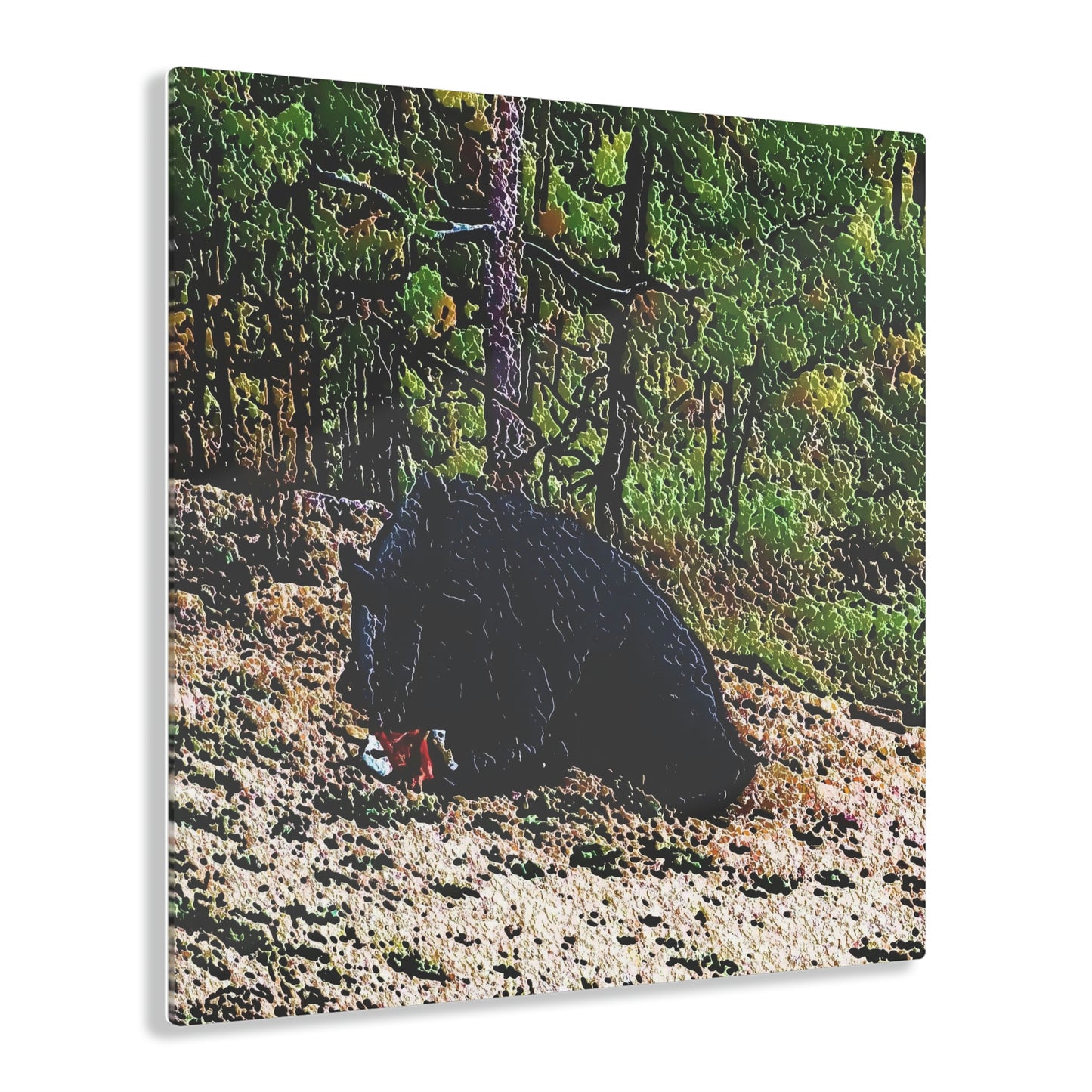 Acrylic Prints ... RCY: "Rhett Creek Yogi ... '500 Lbs Of Autumn Season Hunger' ..."  ... September 2022 ... Central Idaho ... Original Works ...