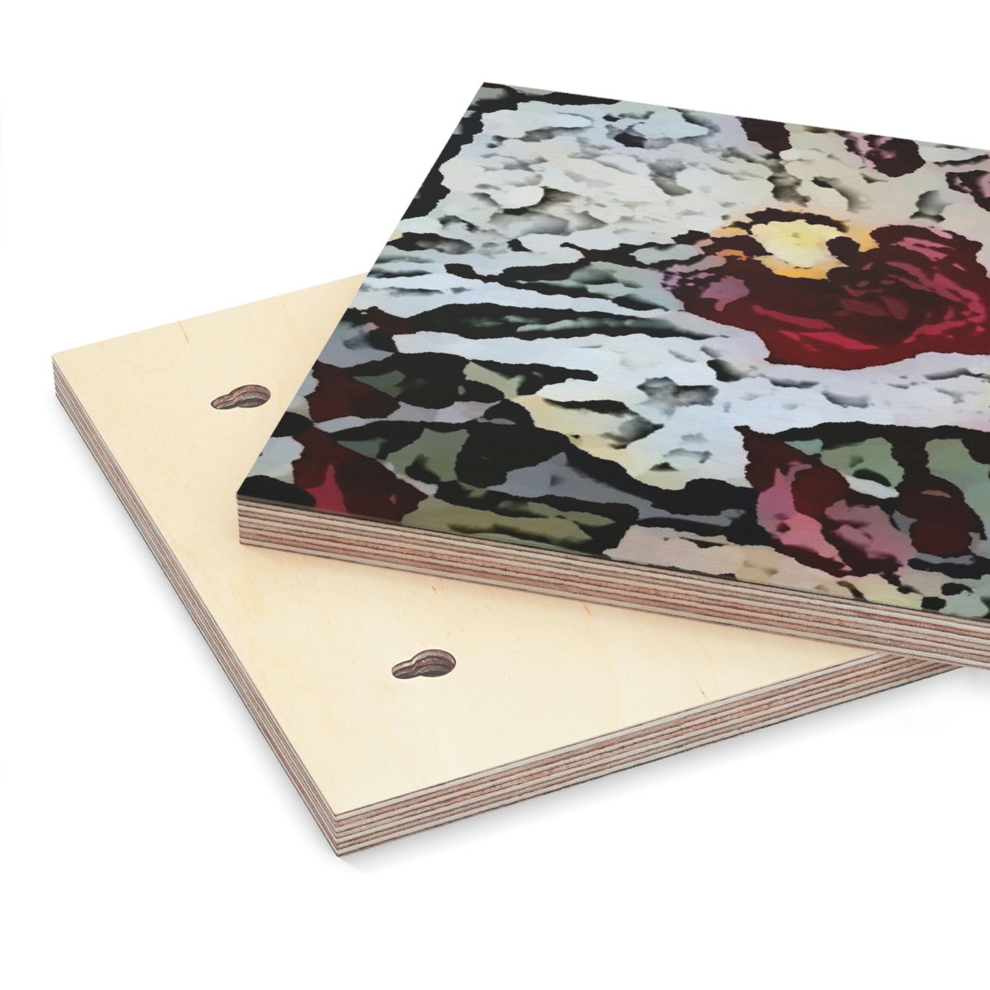 Wood Canvas ... "A Friendly Flower" ... Pointsettia 'Pointing' ... Original Works ... (Supplied Photograph) ...