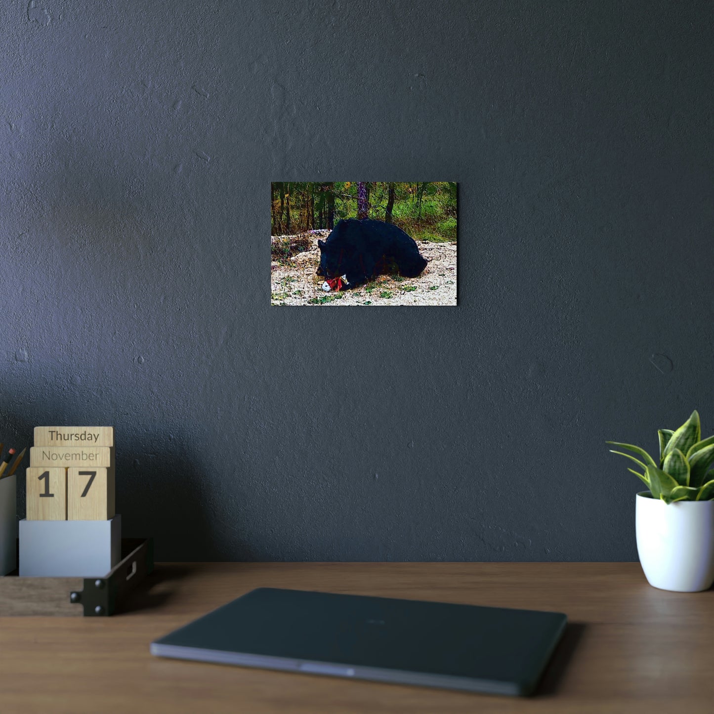 Aluminum Composite Panels ... A Local 'Yogi_2' ... RCY: "Rhett Creek Yogi: 500#'s Of Hungry Black Bear" ... 28-29Sep23 ... Original Works ... Client Project-Folio ...