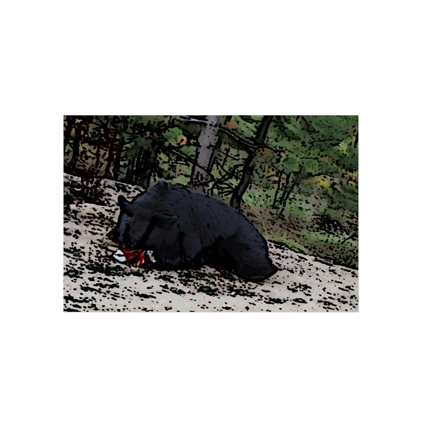 Aluminum Composite Panels ... A Local 'Yogi_4' ... RCY: "Rhett Creek Yogi: 500#'s Of Hungry Black Bear" ... 28-29Sep23 ... Original Works ... Client Project-Folio ...