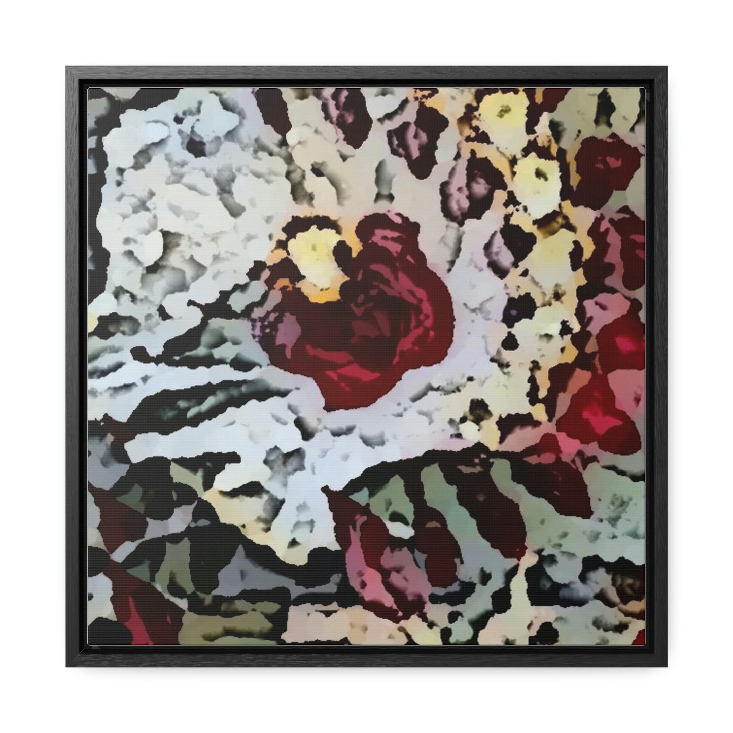 Gallery Canvas Wraps, Square Frame ... "A Friendly Flower" ... Pointsettia 'Pointing' ... Original Works ... (Supplied Photograph) ...