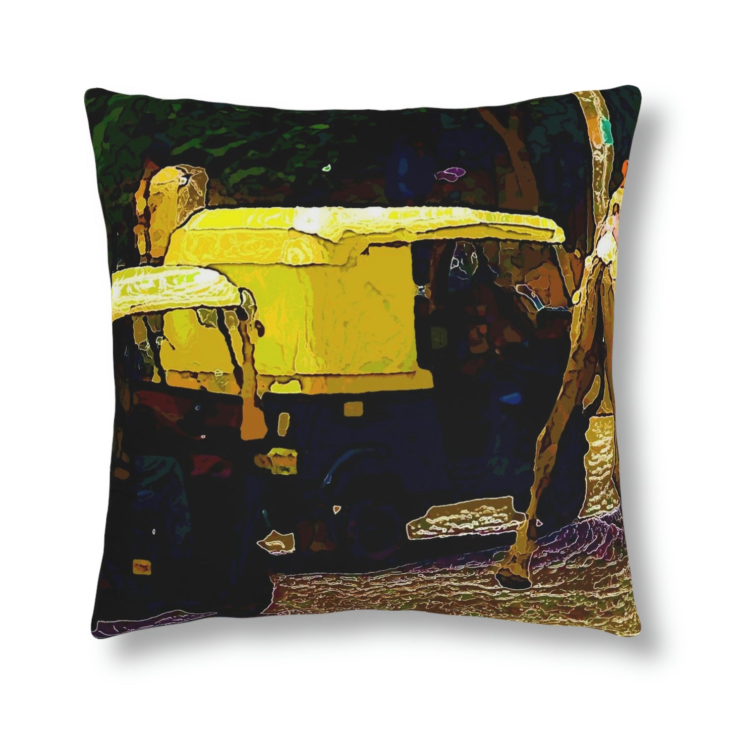 Waterproof Pillows ... "Truckin'-Up-To-Buffalo ... 'Oops - Wrong Country' ... Truckin'-Up-To-New Delll -'E' ... " ... (Delhi, India) ... 5July2007. Original Works ...
