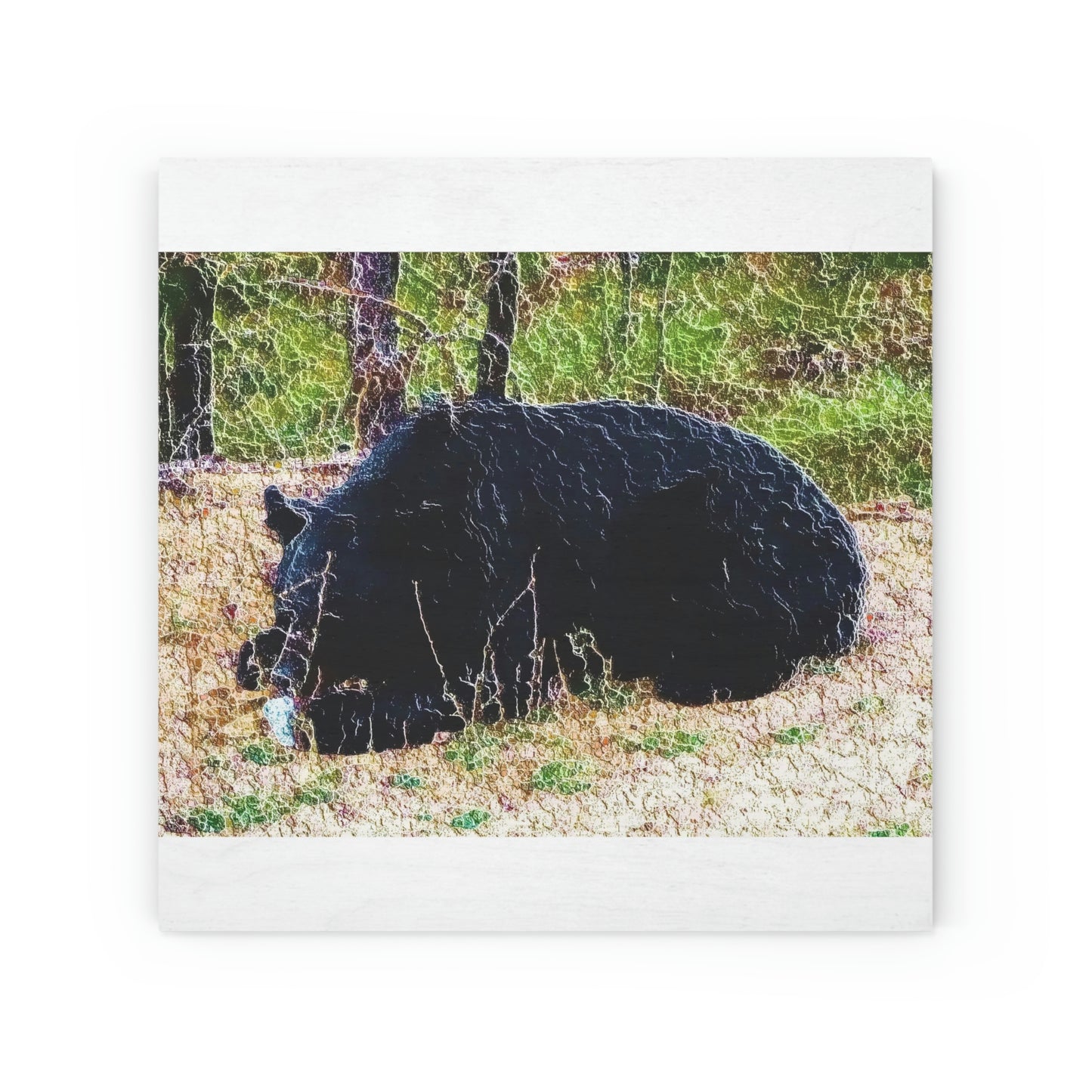 Wood Canvas ... RCY: "Rhett Creek Yogi ... '500 Lbs Of Autumn Season Hunger' ..."  ... September 2022 ... Central Idaho ... Original Works ...