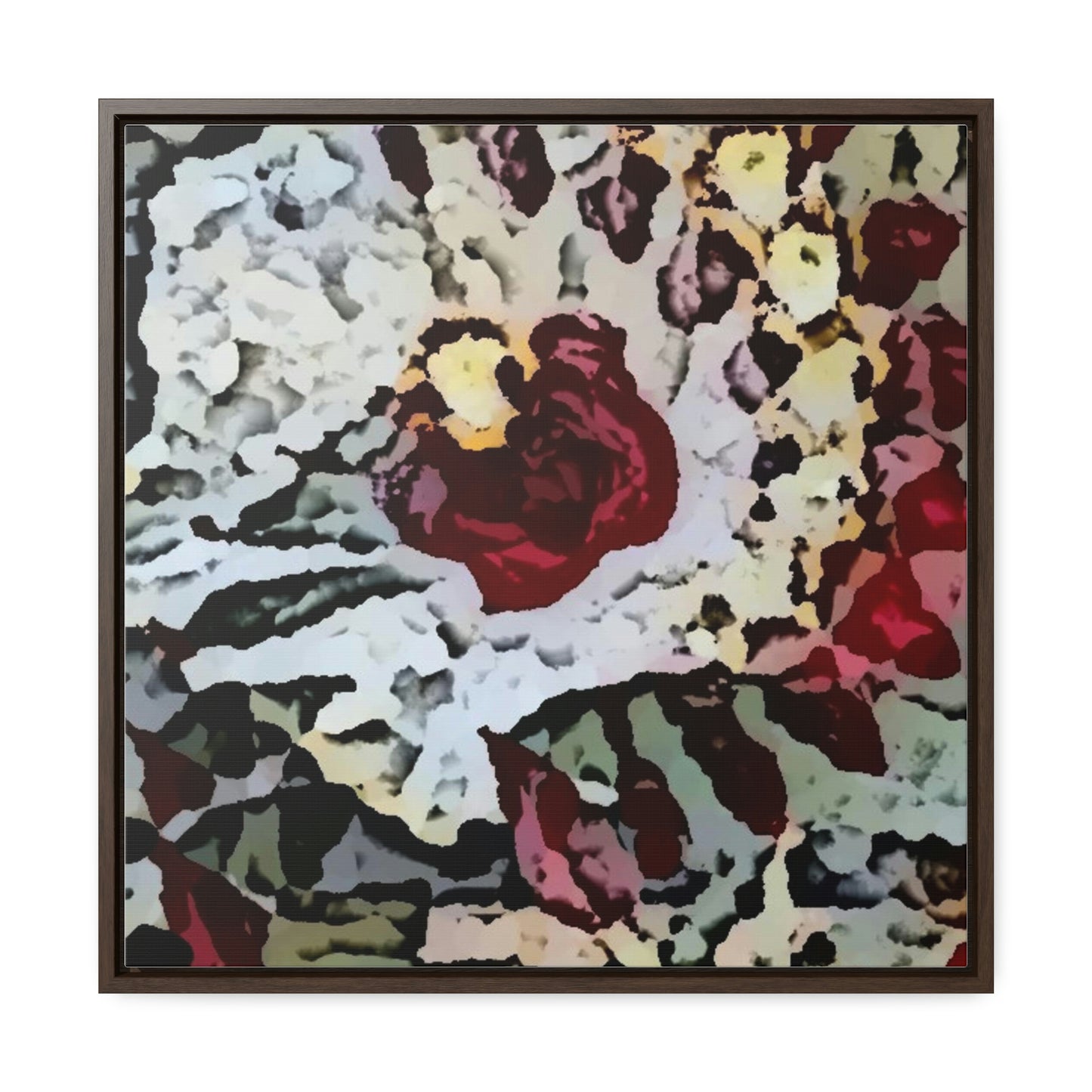 Gallery Canvas Wraps, Square Frame ... "A Friendly Flower" ... Pointsettia 'Pointing' ... Original Works ... (Supplied Photograph) ...