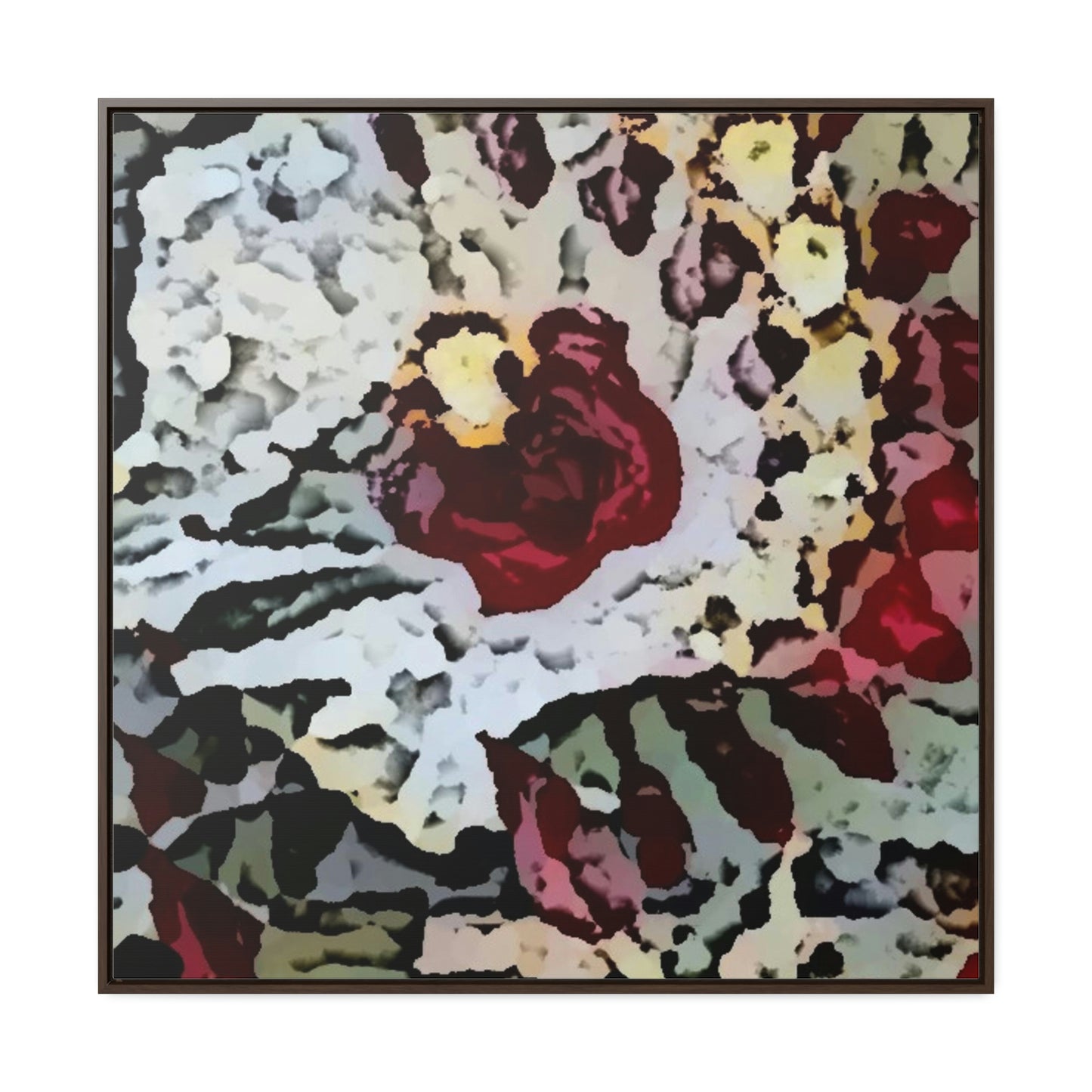 Gallery Canvas Wraps, Square Frame ... "A Friendly Flower" ... Pointsettia 'Pointing' ... Original Works ... (Supplied Photograph) ...