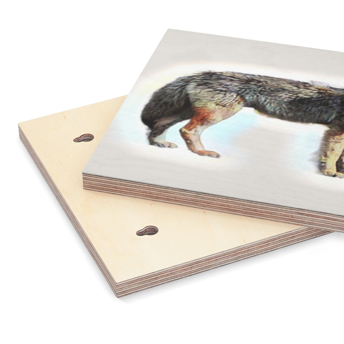Wood Canvas ... Coyote ... "Yosemite Valley: Circa May23 ... KPH Base Photo" ... Original Works ...