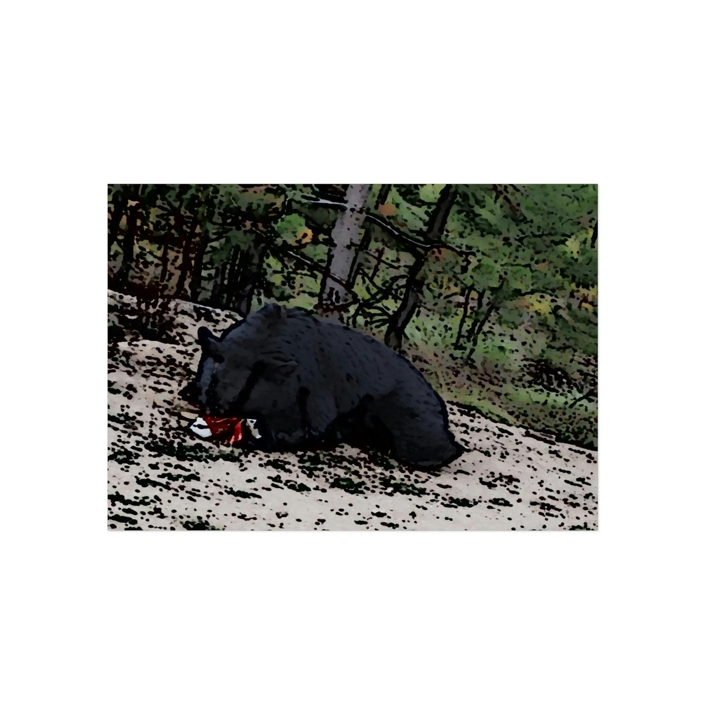 Aluminum Composite Panels ... A Local 'Yogi_4' ... RCY: "Rhett Creek Yogi: 500#'s Of Hungry Black Bear" ... 28-29Sep23 ... Original Works ... Client Project-Folio ...