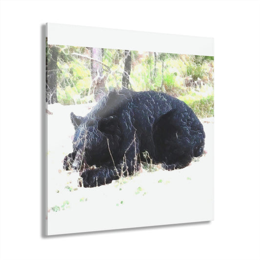 Acrylic Prints (French Cleat Hanging) ... RCY: "Rhett Creek Yogi ... '500 Lbs Of Autumn Season Hunger' ..."  ... September 2022 ... Central Idaho ... Original Works ...