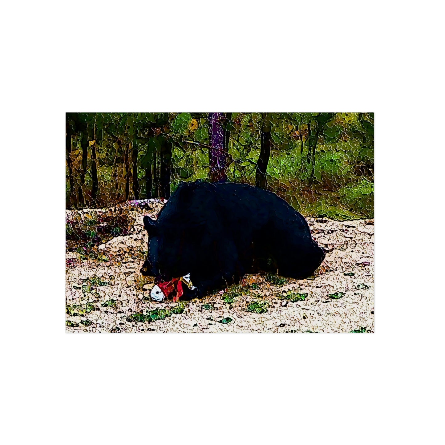 Aluminum Composite Panels ... A Local 'Yogi_2' ... RCY: "Rhett Creek Yogi: 500#'s Of Hungry Black Bear" ... 28-29Sep23 ... Original Works ... Client Project-Folio ...