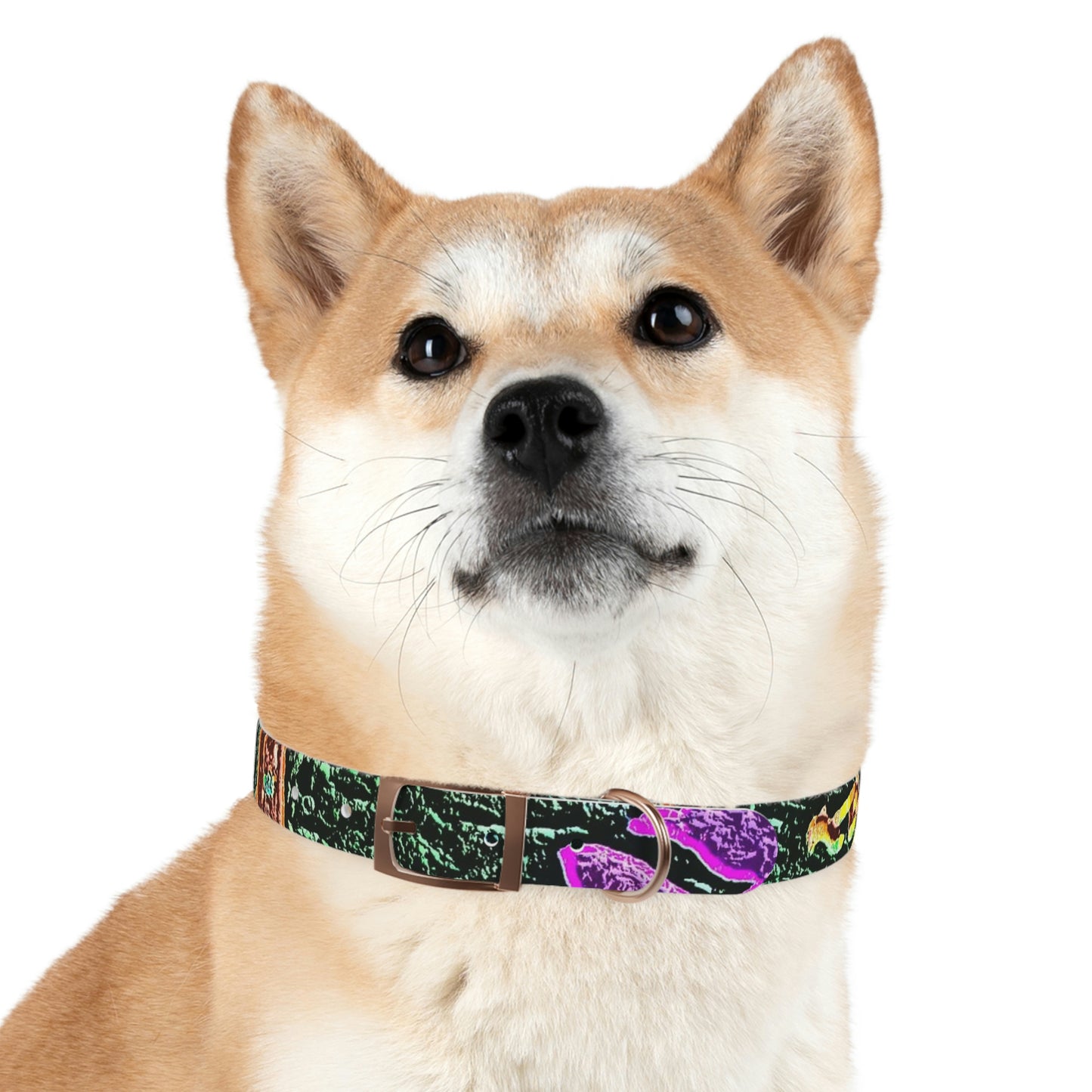 Dog Collar ... "La Grande Entree" At: 'The Pink Palace' ... The Royal Hawai'ian ... Honolulu, HI ... '27Oct2014' ... Original Works ...