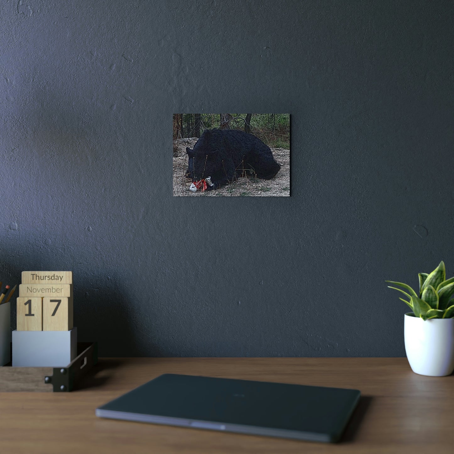 Aluminum Composite Panels ... A Local 'Yogi_3' ... RCY: "Rhett Creek Yogi: 500#'s Of Hungry Black Bear" ... 28-29Sep23 ... Original Works ... Client Project-Folio ...