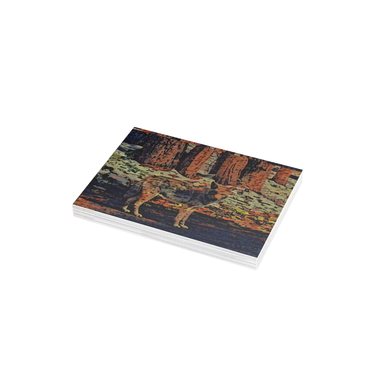 Greeting Cards (1, 10, 30, and 50pcs) ... Coyote ... "Yosemite Valley: Circa May23 ... KPH Base Photo" ... Original Works ...