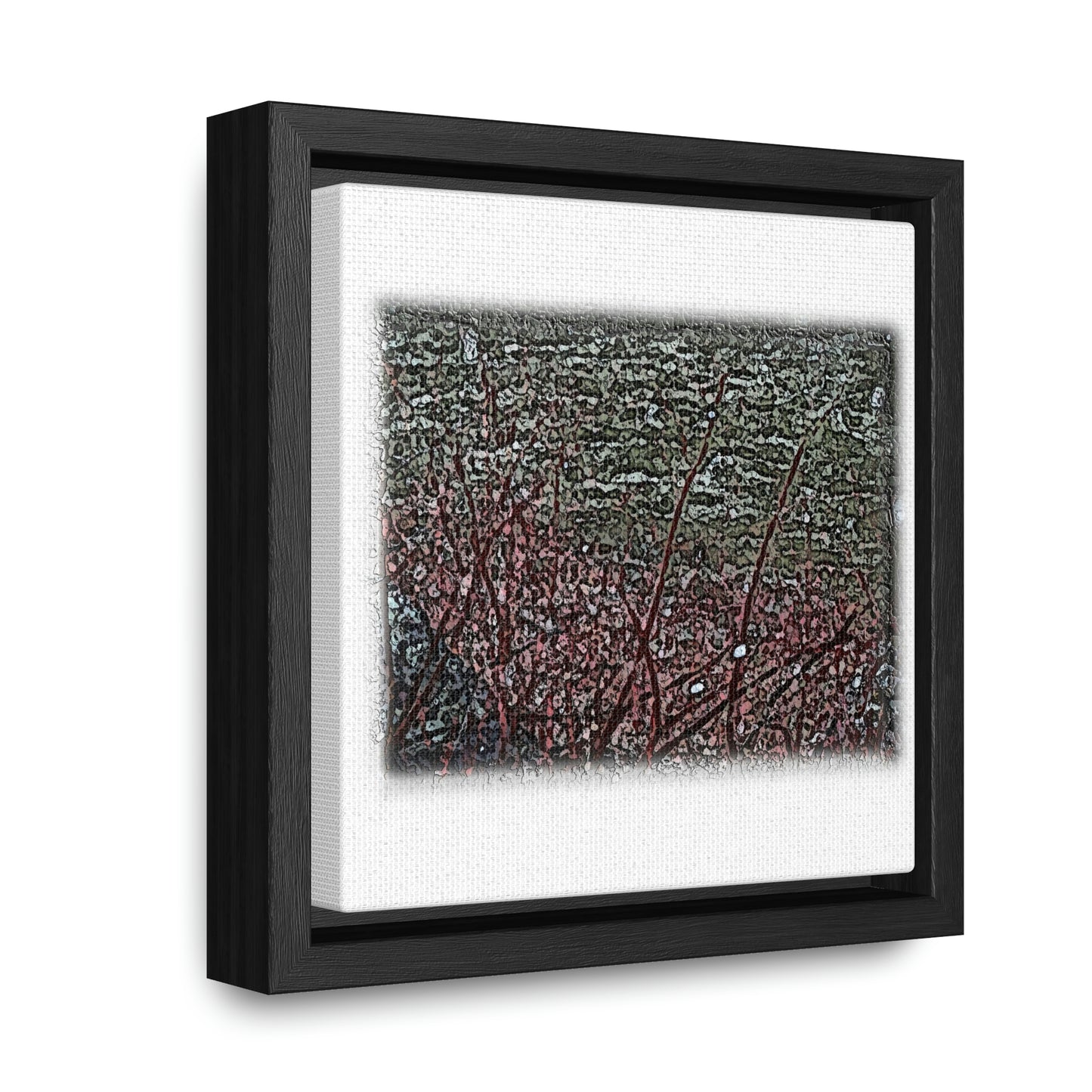 Gallery Canvas Wraps, Square Frame ... "A River Runs Through It" ... Red-Osier-Dogwood (Cornus Stonlifera 'Rubra') .. Original Works ... Central Idaho ...
