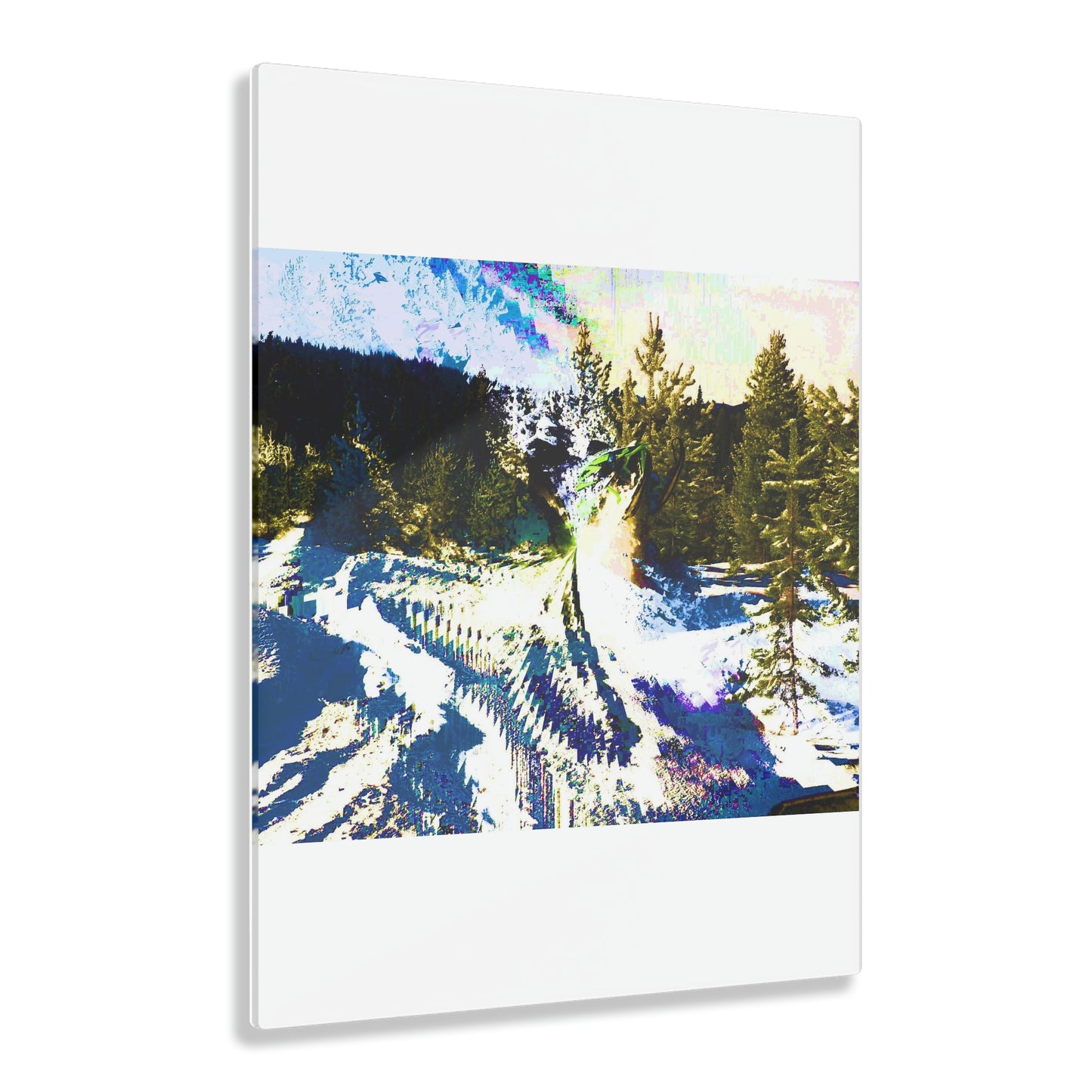Acrylic Prints ... "No Time 'Like-Air-Time' ..." ... A True Master At His Craft ... December 2022, Rhett Creek, Idaho ... Original Works ...