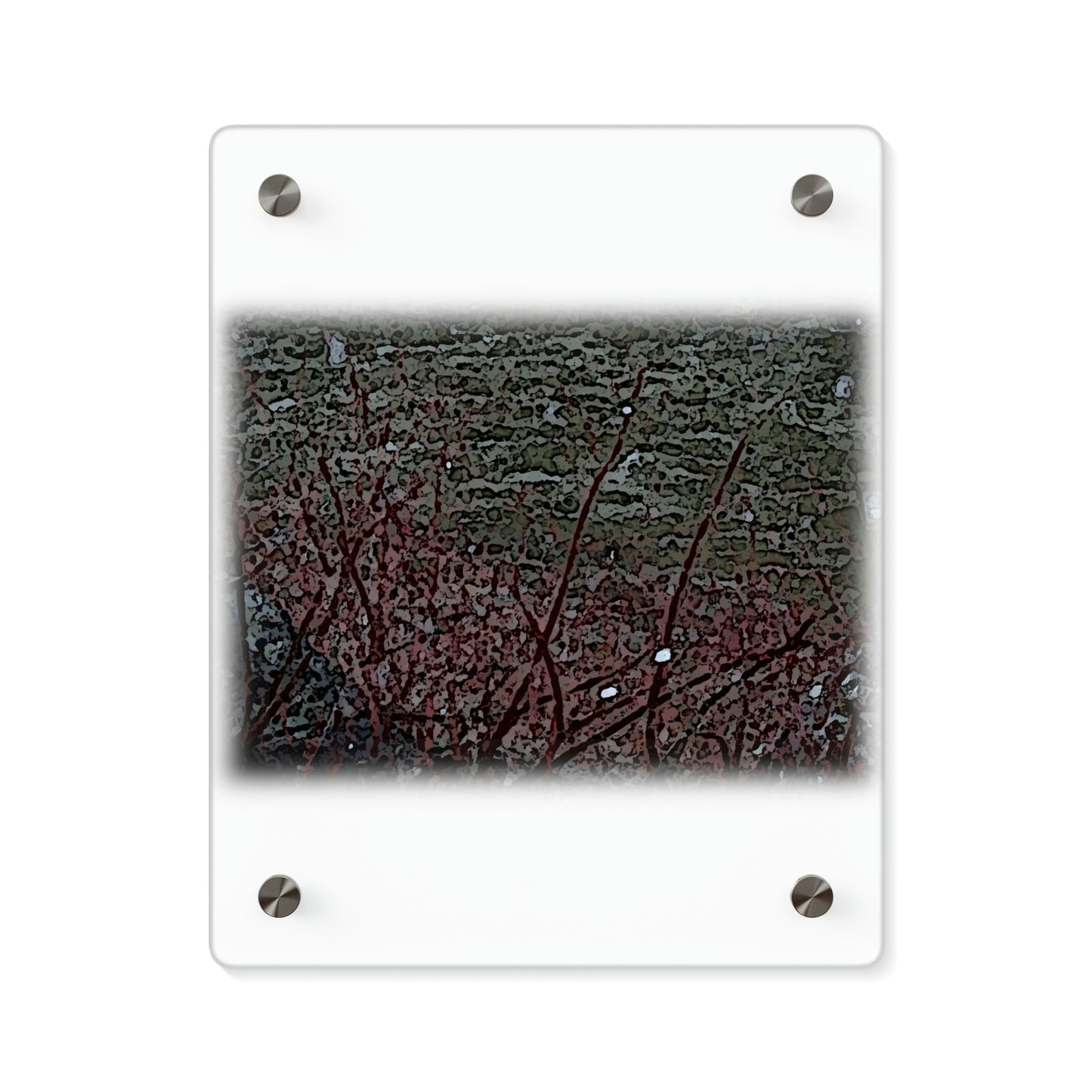 Acrylic Wall Art Panels ... "A River Runs Through It ... Red-Osier-Dogwood (Conus Stonlifera 'Rubra') .. Oringinal Works ... Central Idaho ...