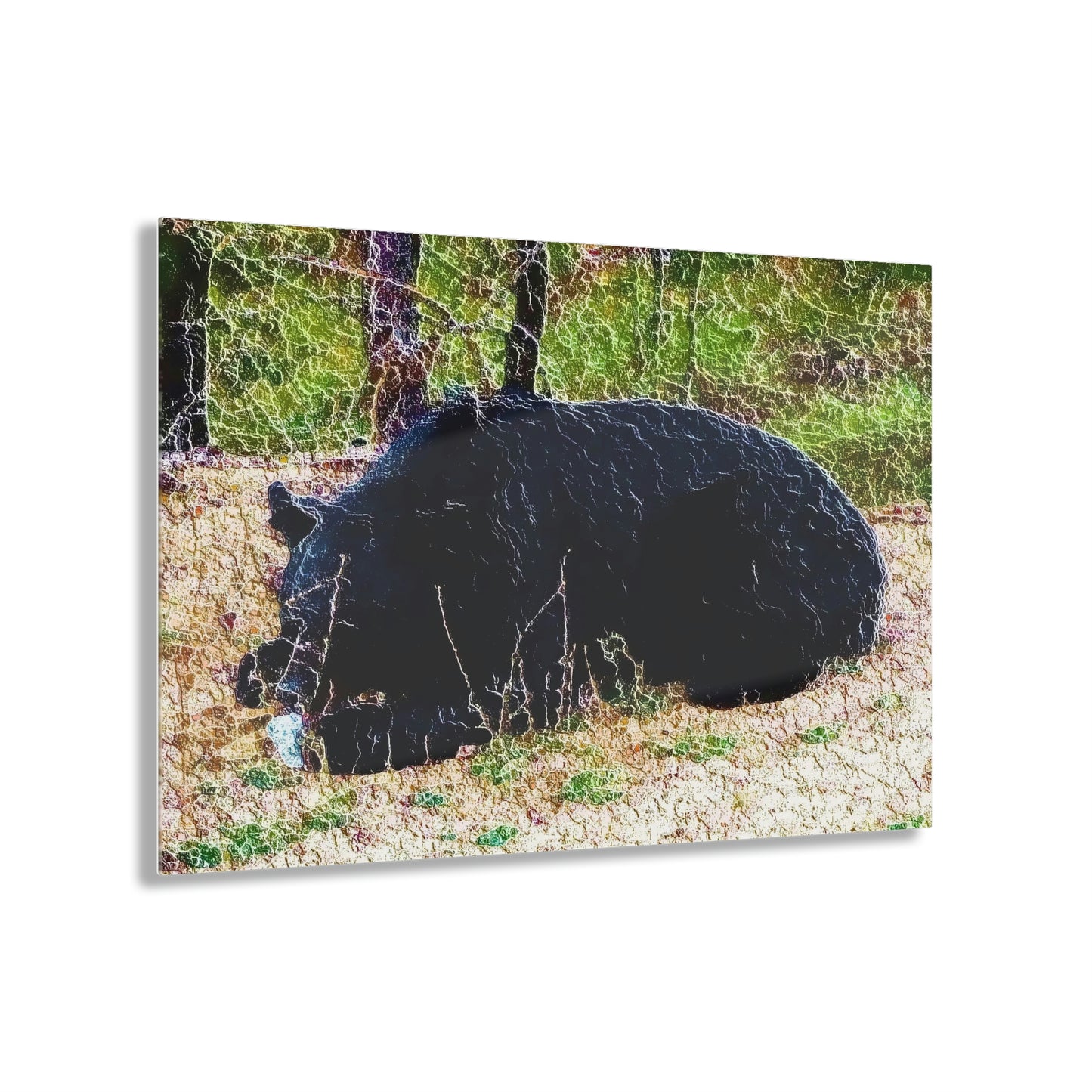 Acrylic Prints ... RCY: "Rhett Creek Yogi ... '500 Lbs Of Autumn Season Hunger' ..."  ... September 2022 ... Central Idaho ... Original Works ...