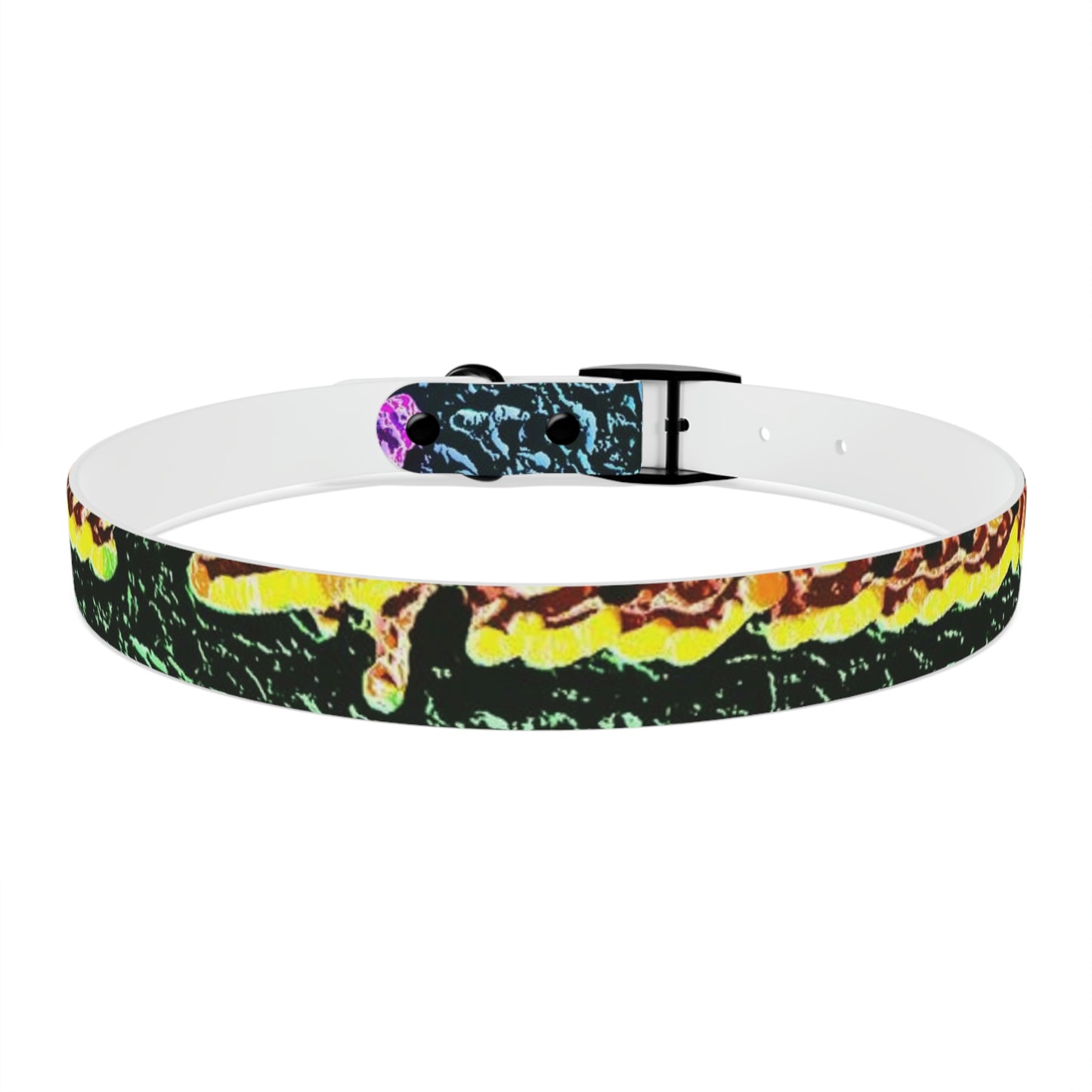 Dog Collar ... "La Grande Entree" At: 'The Pink Palace' ... The Royal Hawai'ian ... Honolulu, HI ... '27Oct2014' ... Original Works ...